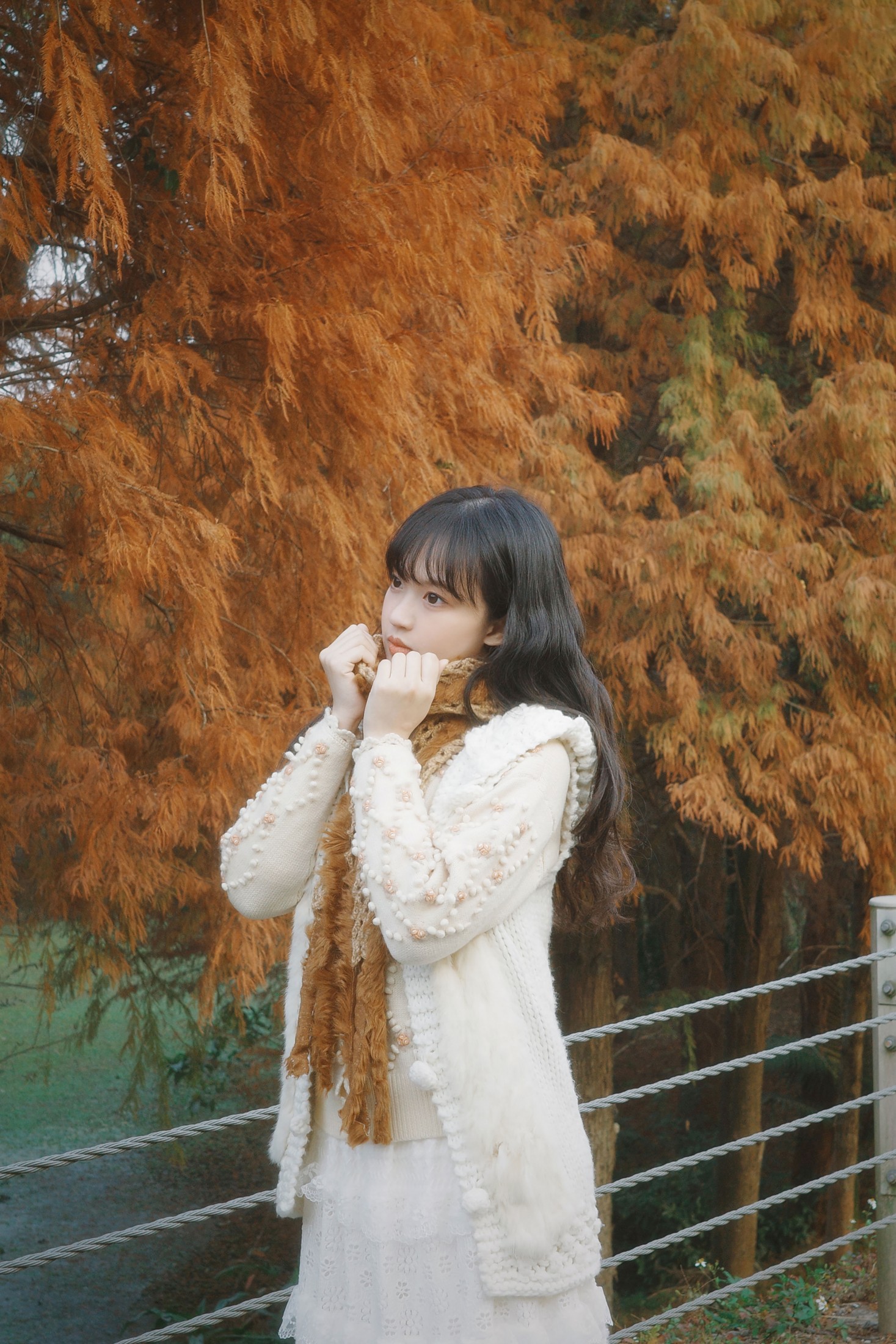图片[1] - - 《森林梦核》[25P] - 机器猫次元 - 机器猫次元