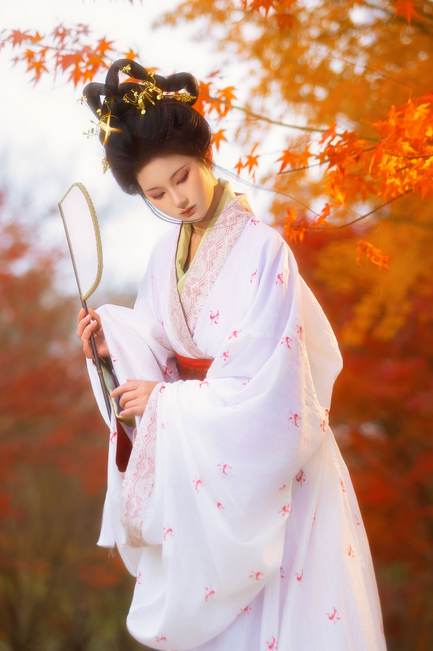 图片[7] - 不听山 - 《战国袍 • 红枫》[14P] - 机器猫次元 - 机器猫次元