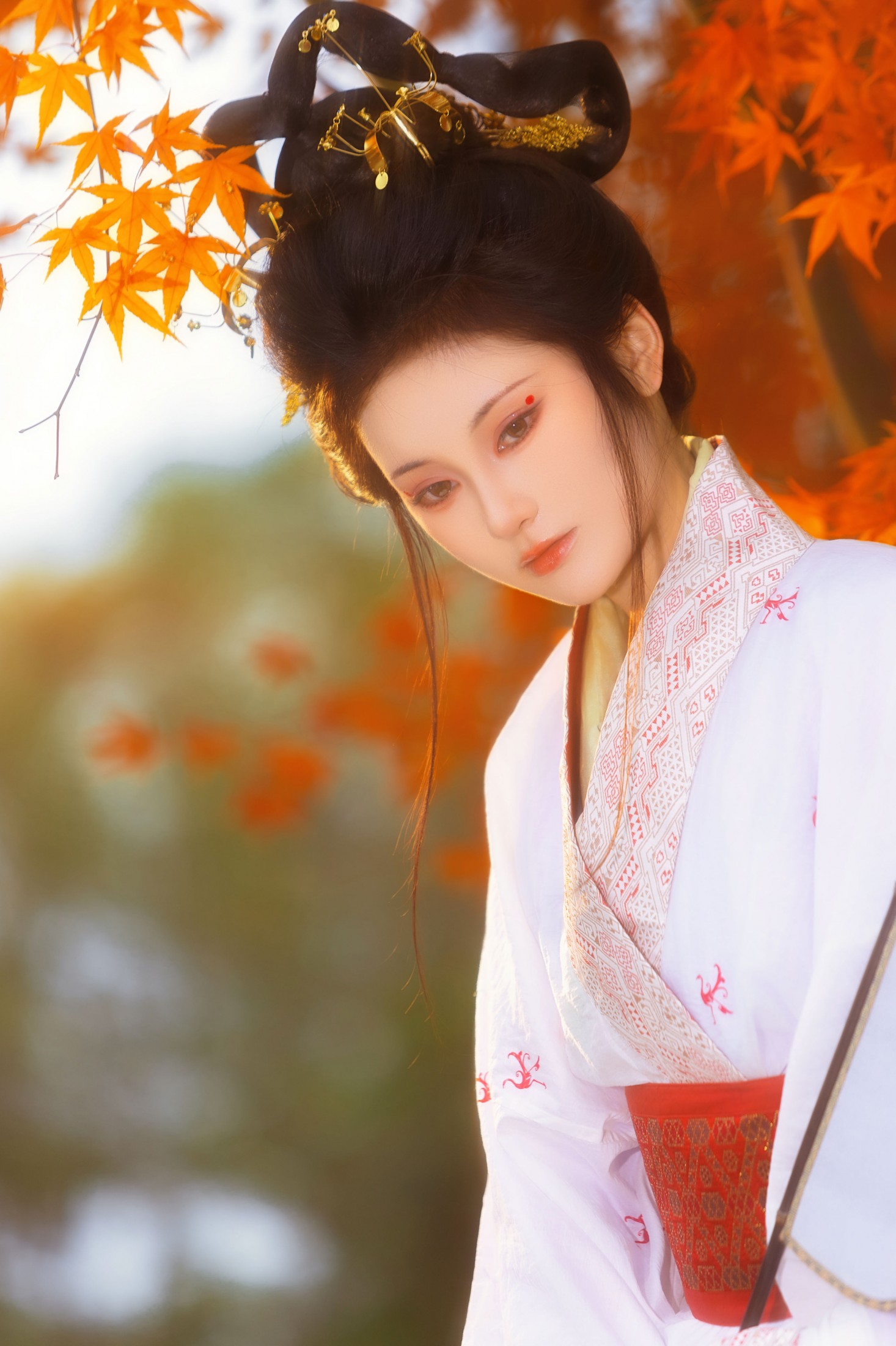 图片[1] - 不听山 - 《战国袍 • 红枫》[14P] - 机器猫次元 - 机器猫次元