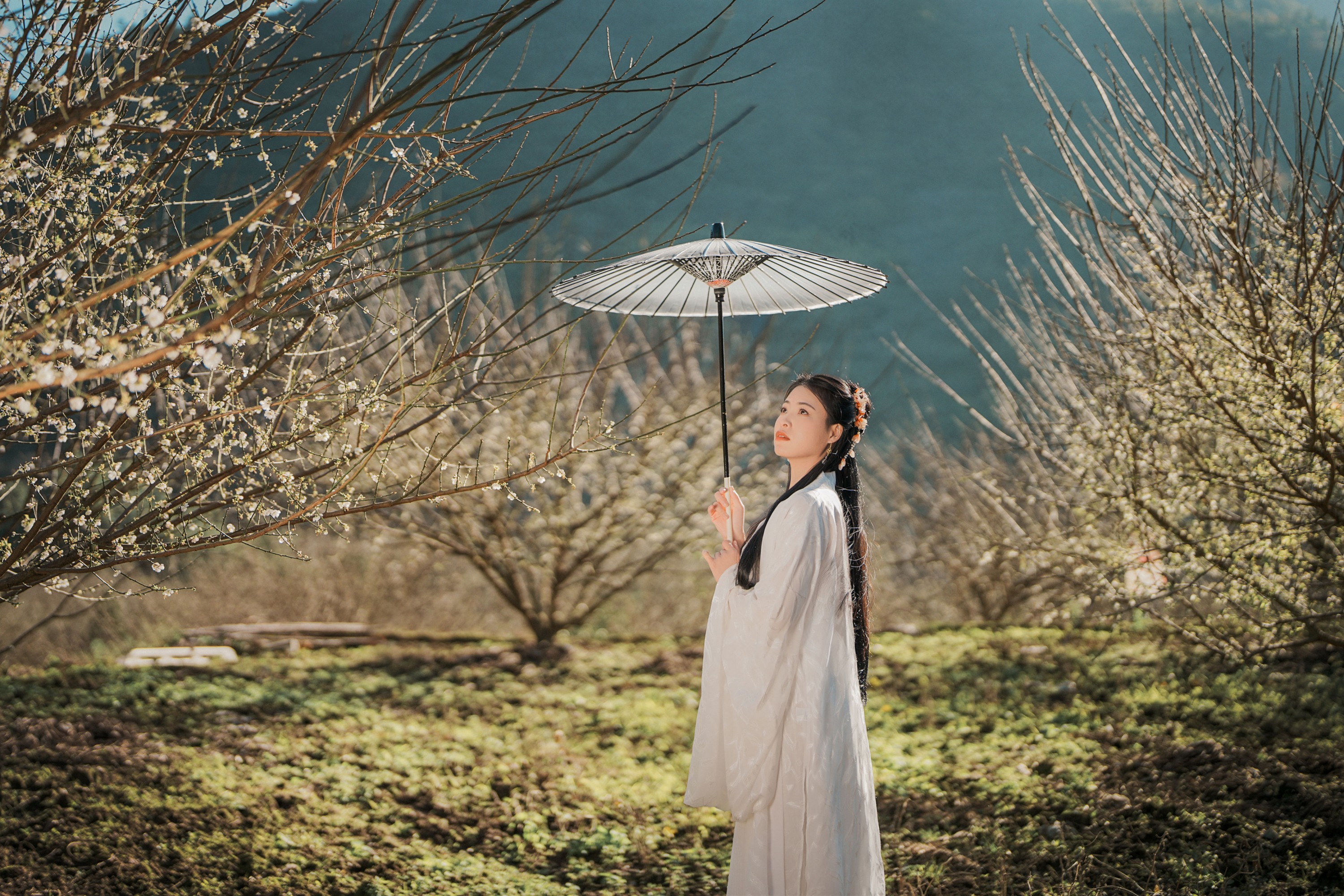 图片[3] - 张秋华 - 《古风人像拍摄-梅花-张秋华》[16P] - 机器猫次元 - 机器猫次元