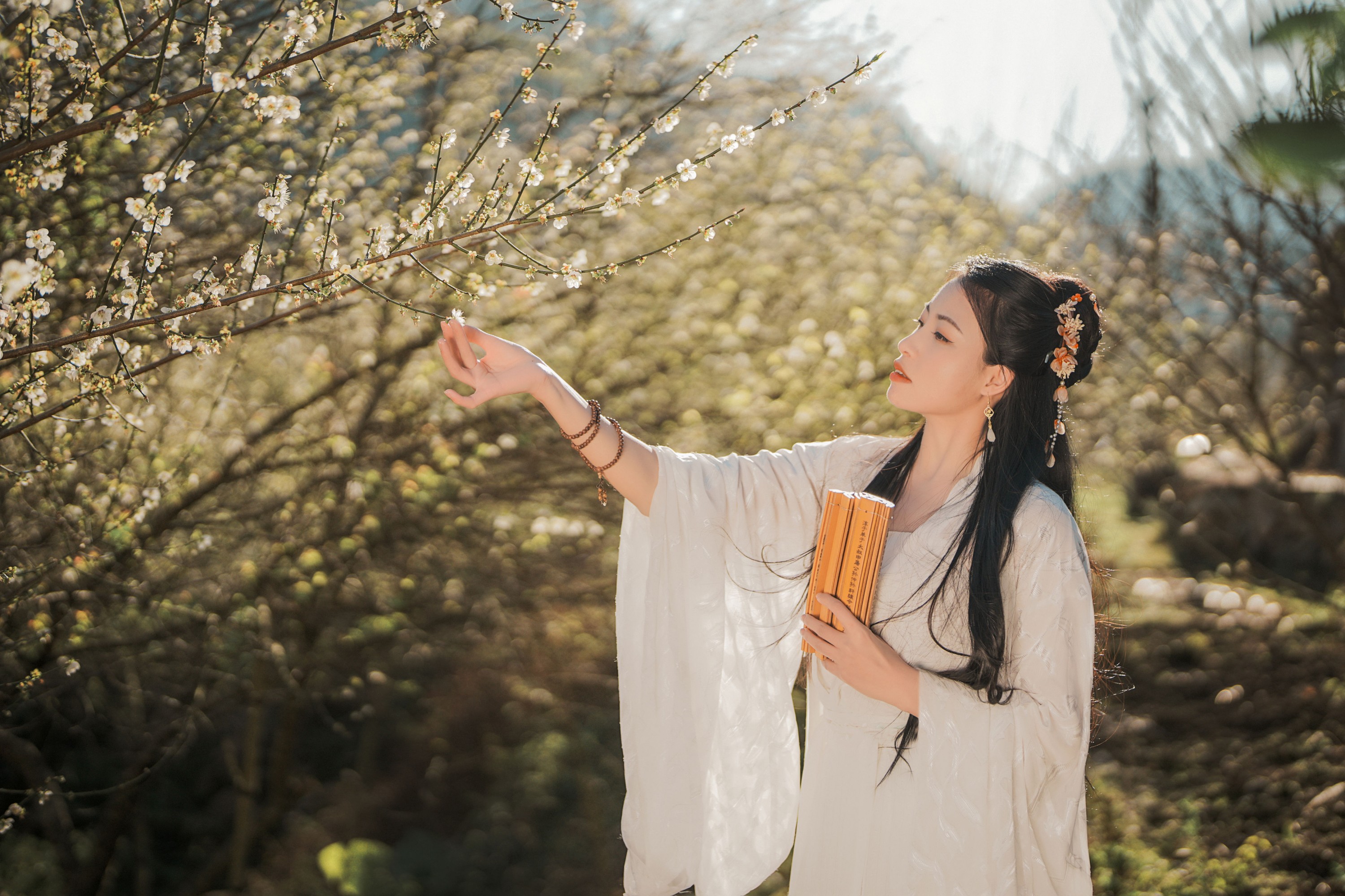 图片[7] - 张秋华 - 《古风人像拍摄-梅花-张秋华》[16P] - 机器猫次元 - 机器猫次元