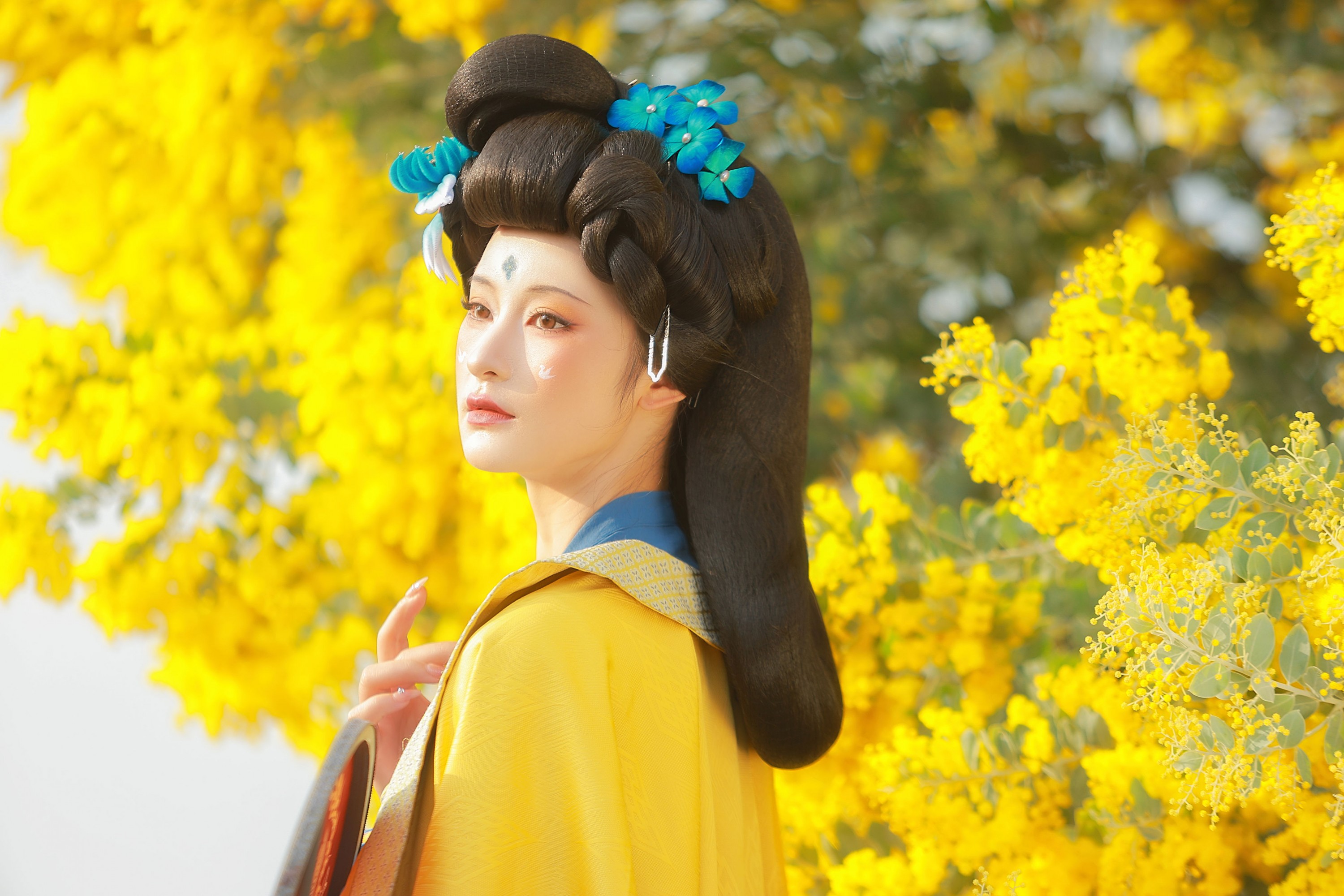 图片[5] - 不听山 - 《唐 • 金合欢》[11P] - 机器猫次元 - 机器猫次元