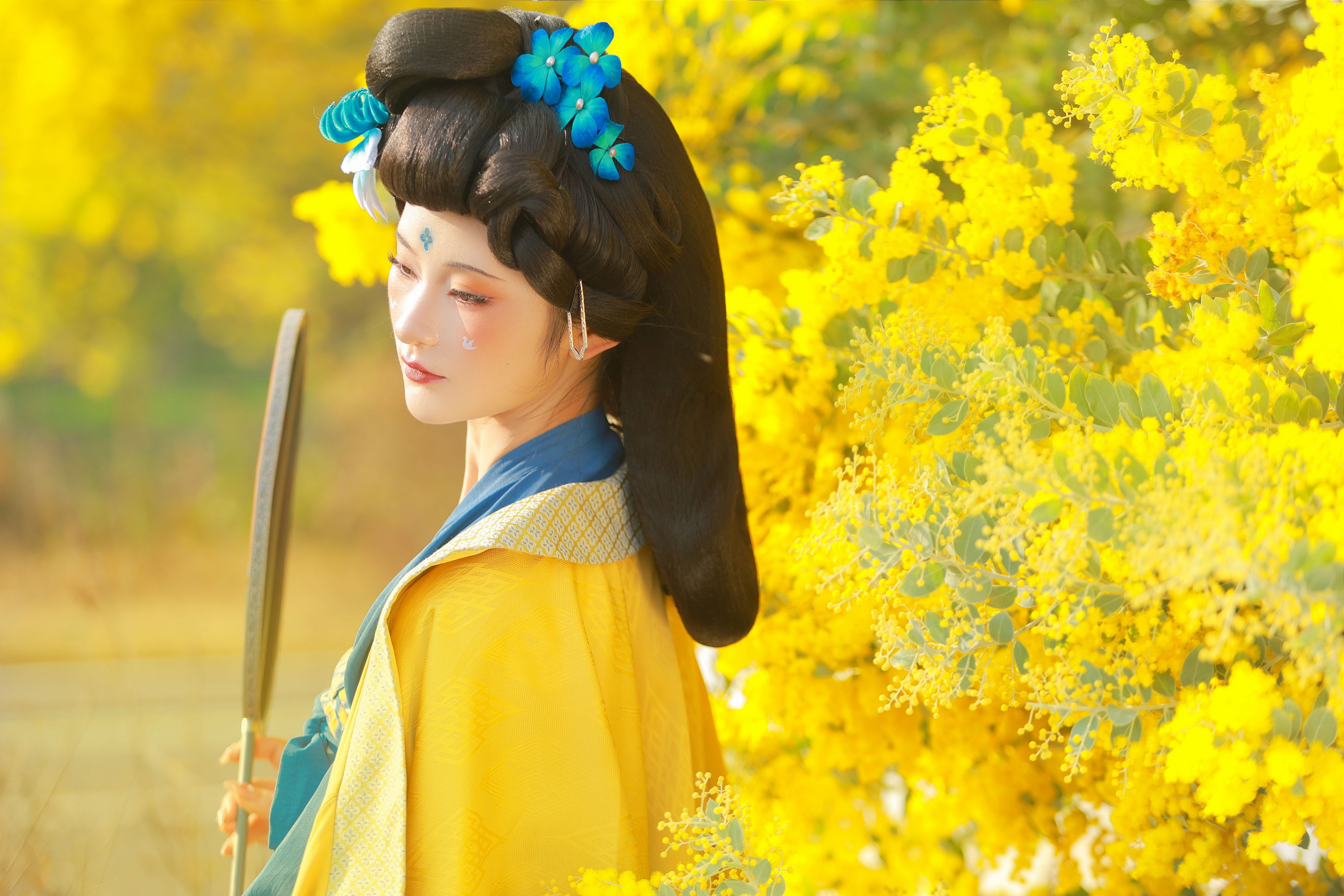 图片[1] - 不听山 - 《唐 • 金合欢》[11P] - 机器猫次元 - 机器猫次元