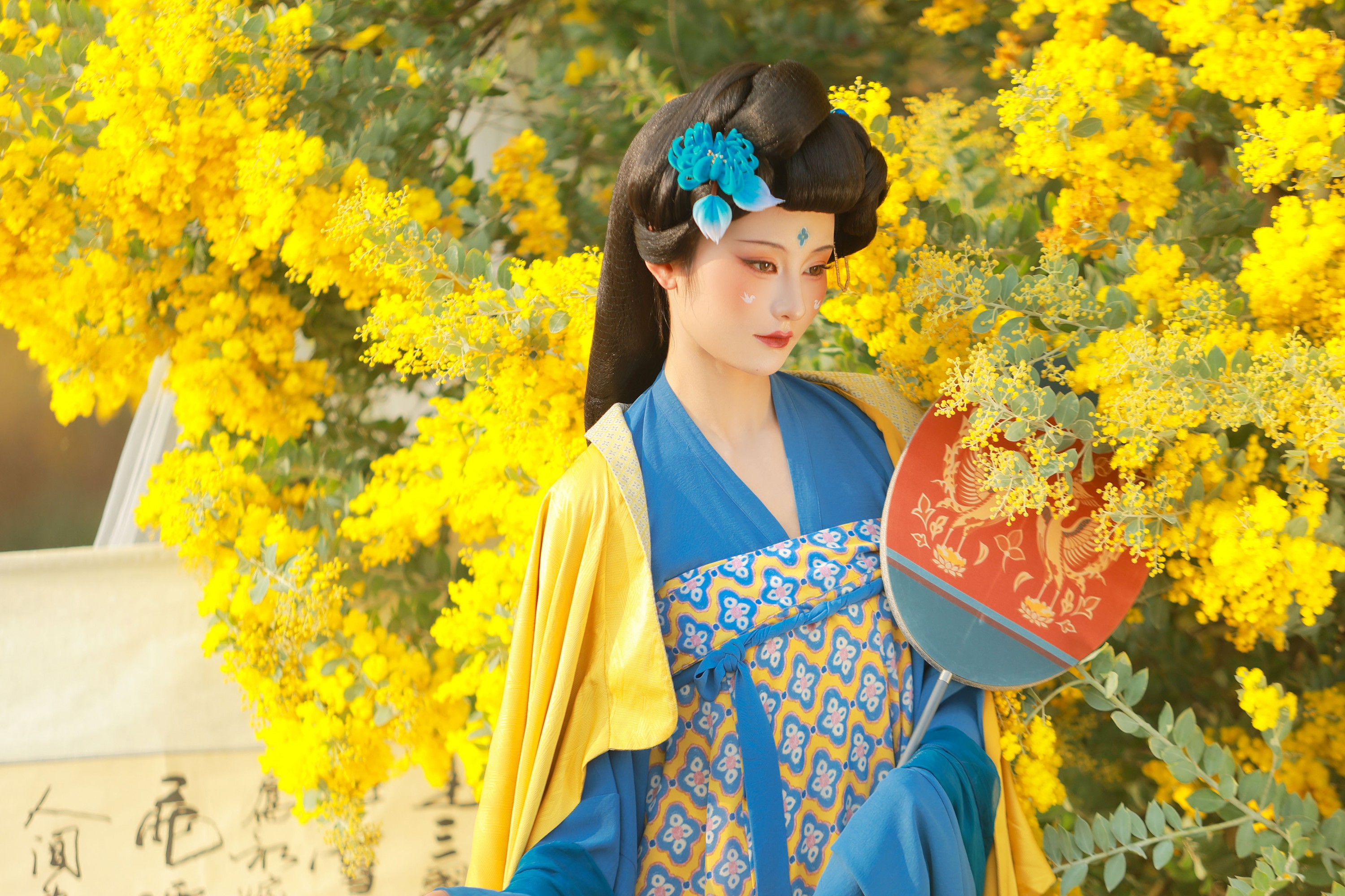 图片[3] - 不听山 - 《唐 • 金合欢》[11P] - 机器猫次元 - 机器猫次元