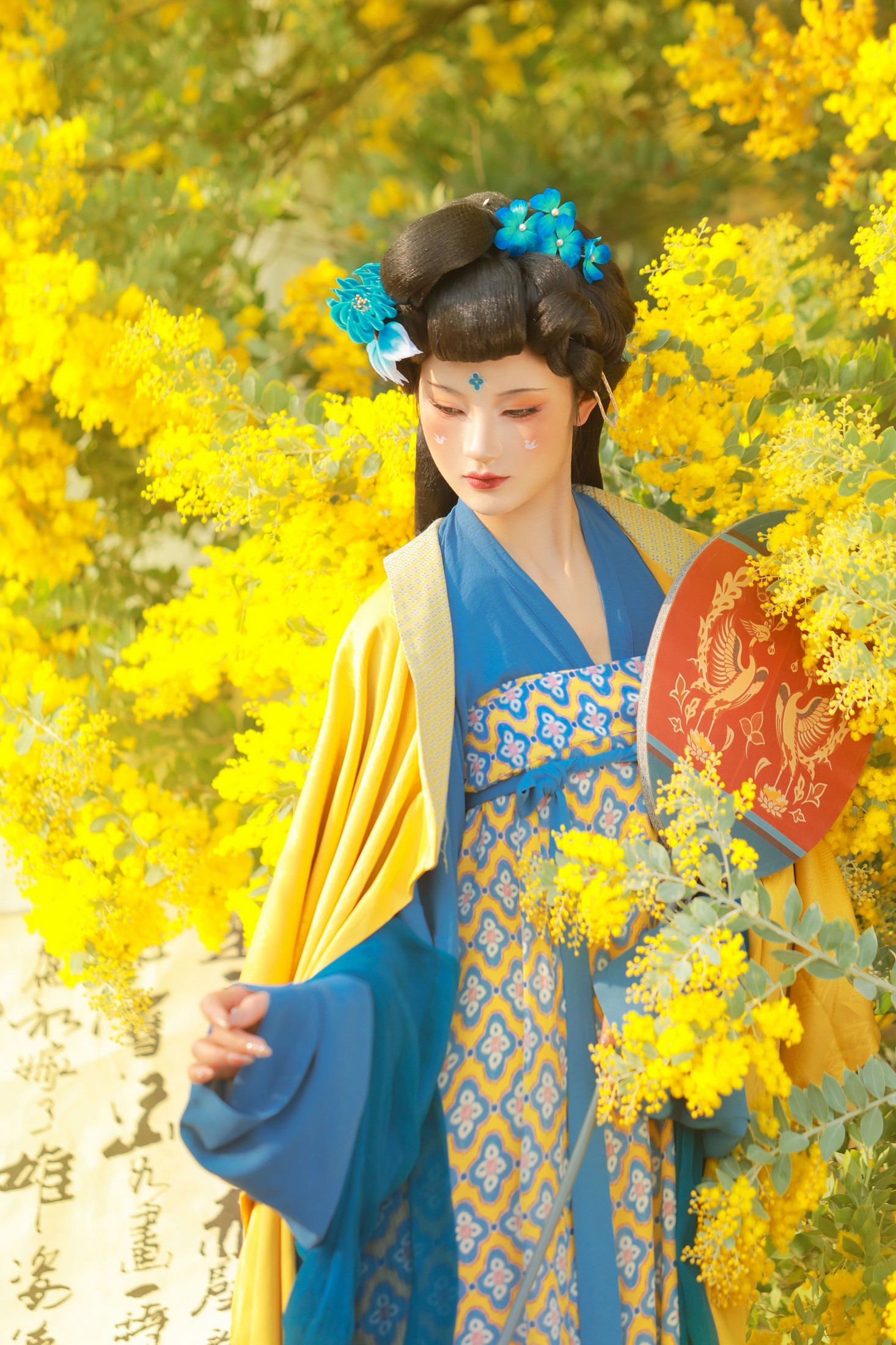 图片[4] - 不听山 - 《唐 • 金合欢》[11P] - 机器猫次元 - 机器猫次元