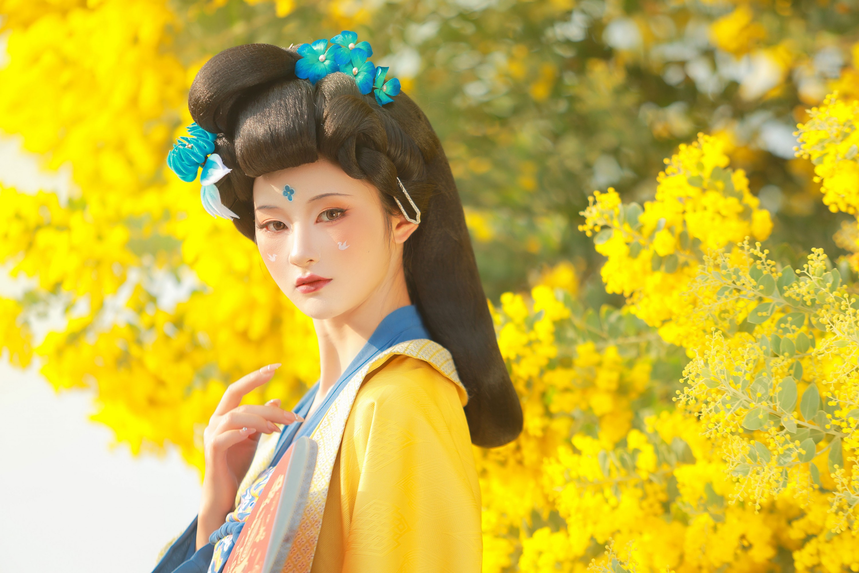 图片[6] - 不听山 - 《唐 • 金合欢》[11P] - 机器猫次元 - 机器猫次元