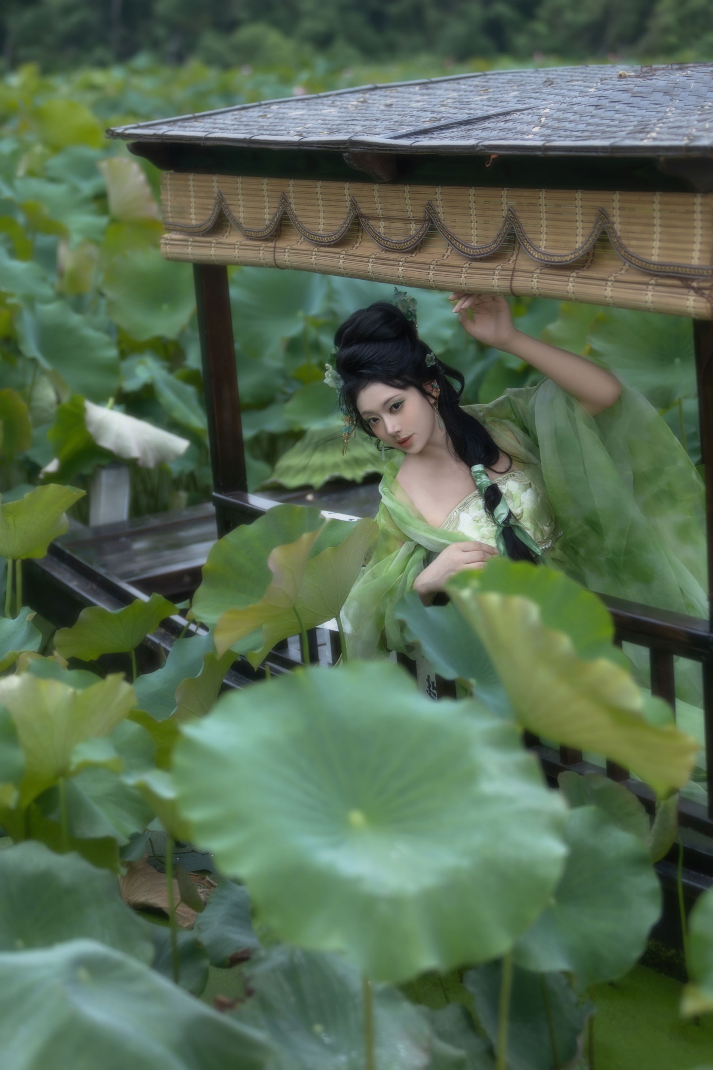 图片[1] - 落雨清玲 - 《荷 • 绿》[13P] - 机器猫次元 - 机器猫次元