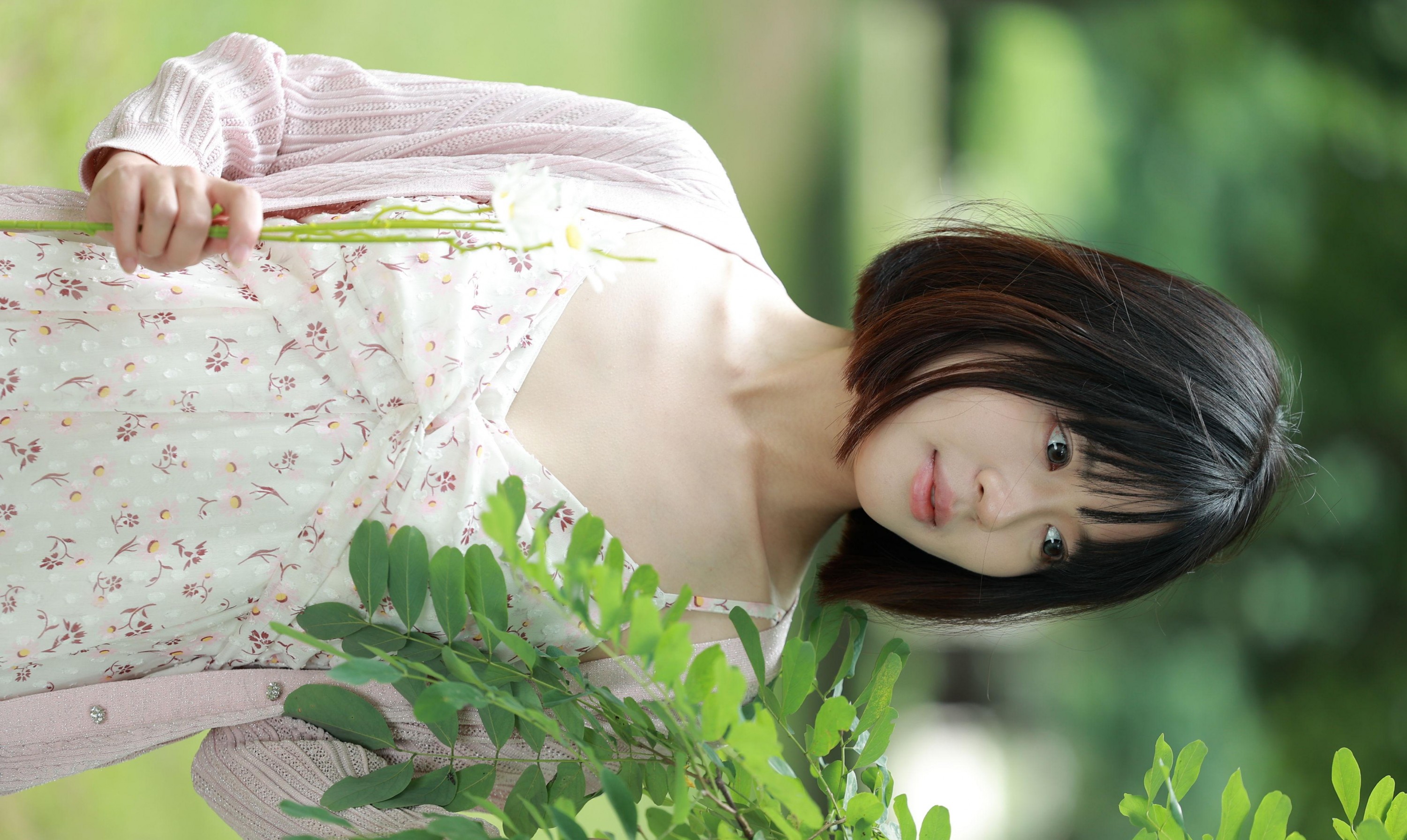 图片[2] - 喵呜 - 《雏菊》[12P] - 机器猫次元 - 机器猫次元