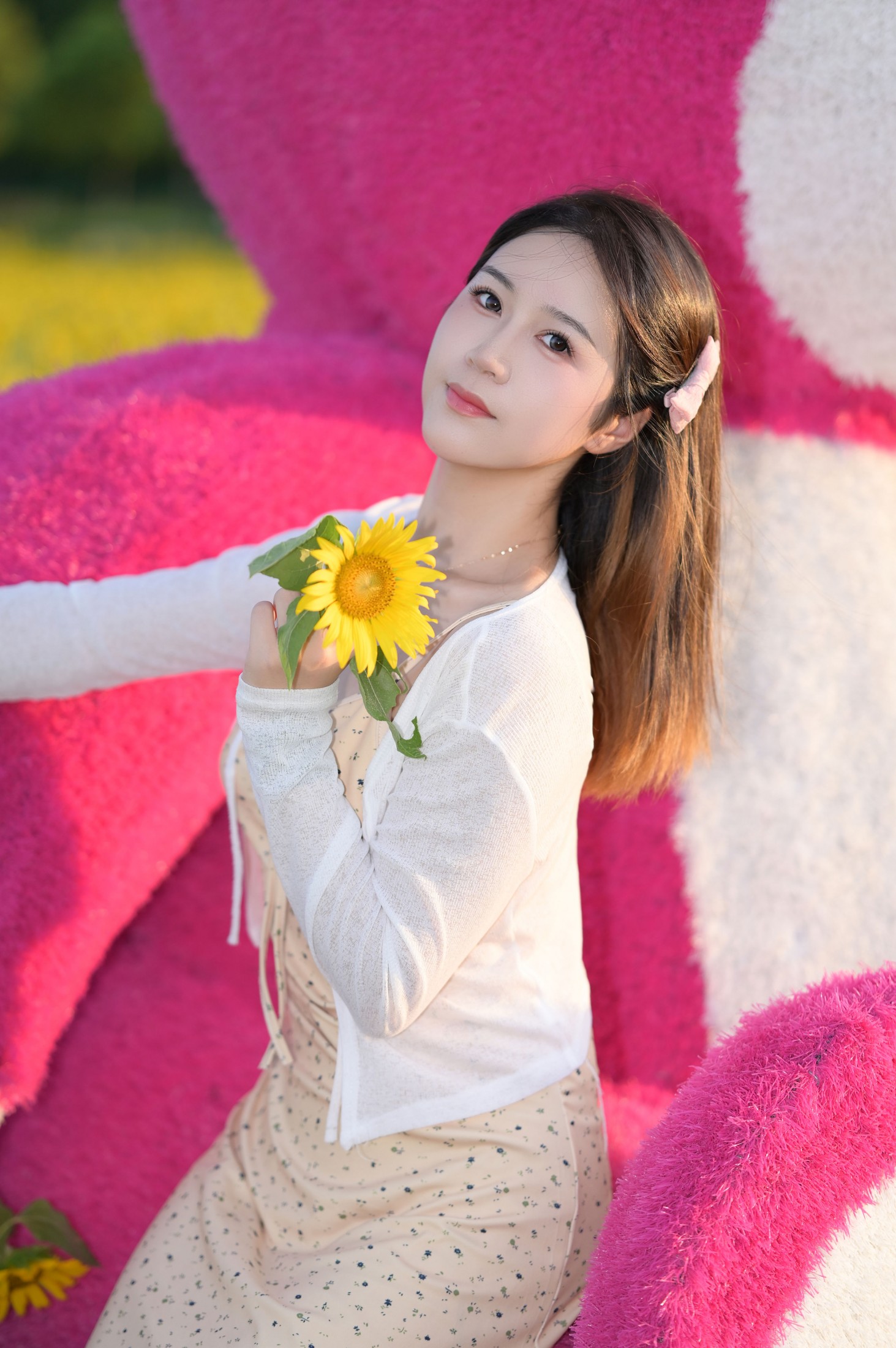 图片[3] - 《向日葵的希望》[10P] - 机器猫次元 - 机器猫次元