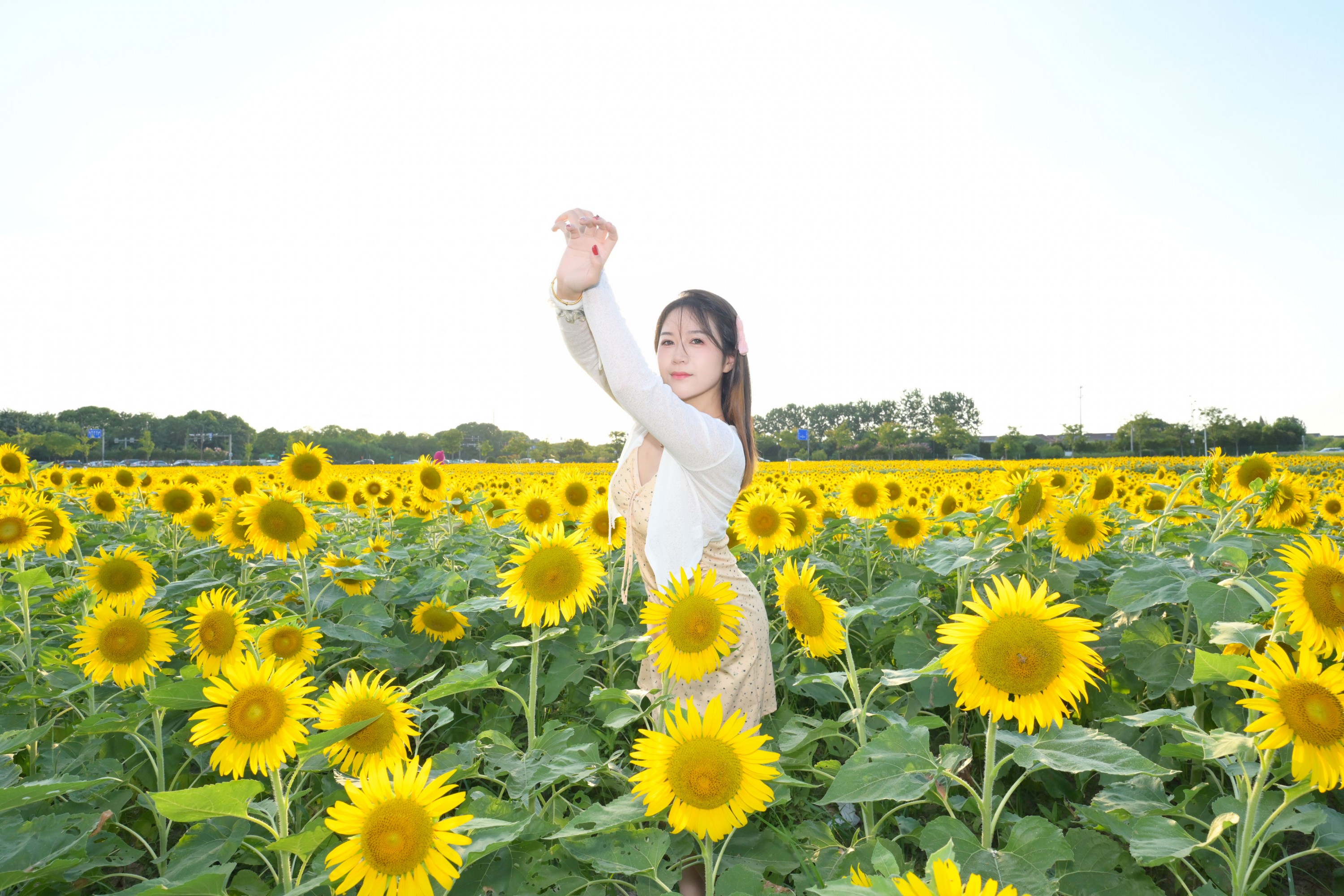 图片[7] - 《向日葵的希望》[10P] - 机器猫次元 - 机器猫次元
