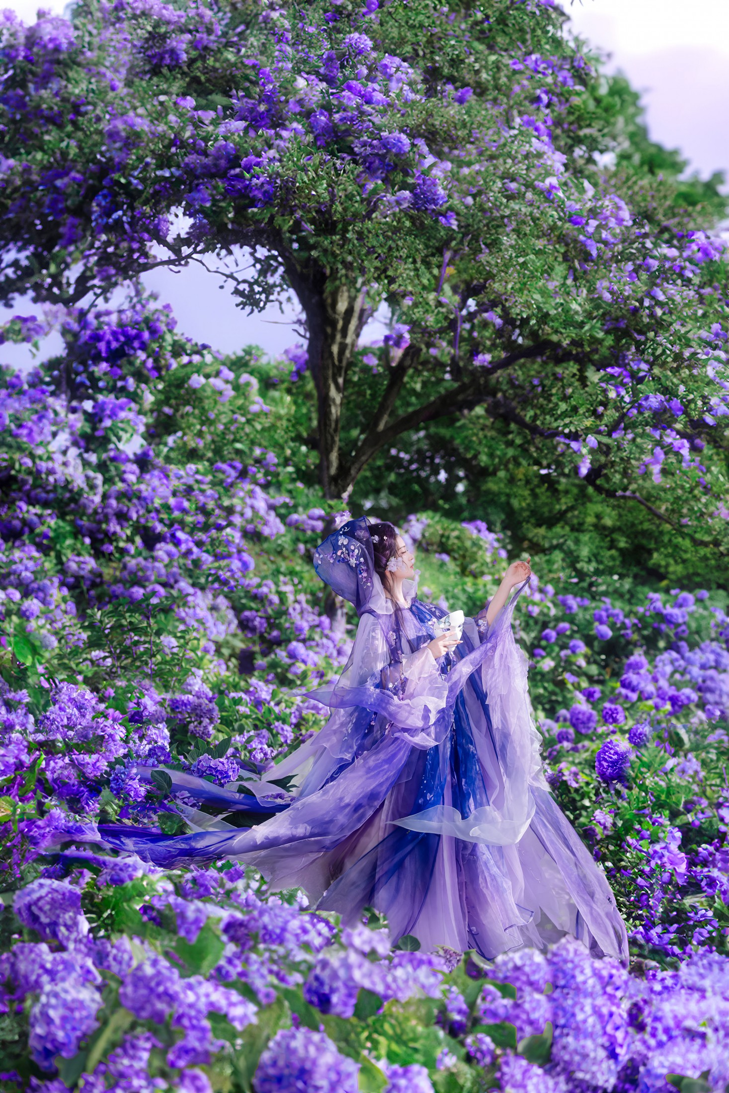 图片[1] - 乐安 - 《以花遥祝，四方葳蕤》[18P] - 机器猫次元 - 机器猫次元