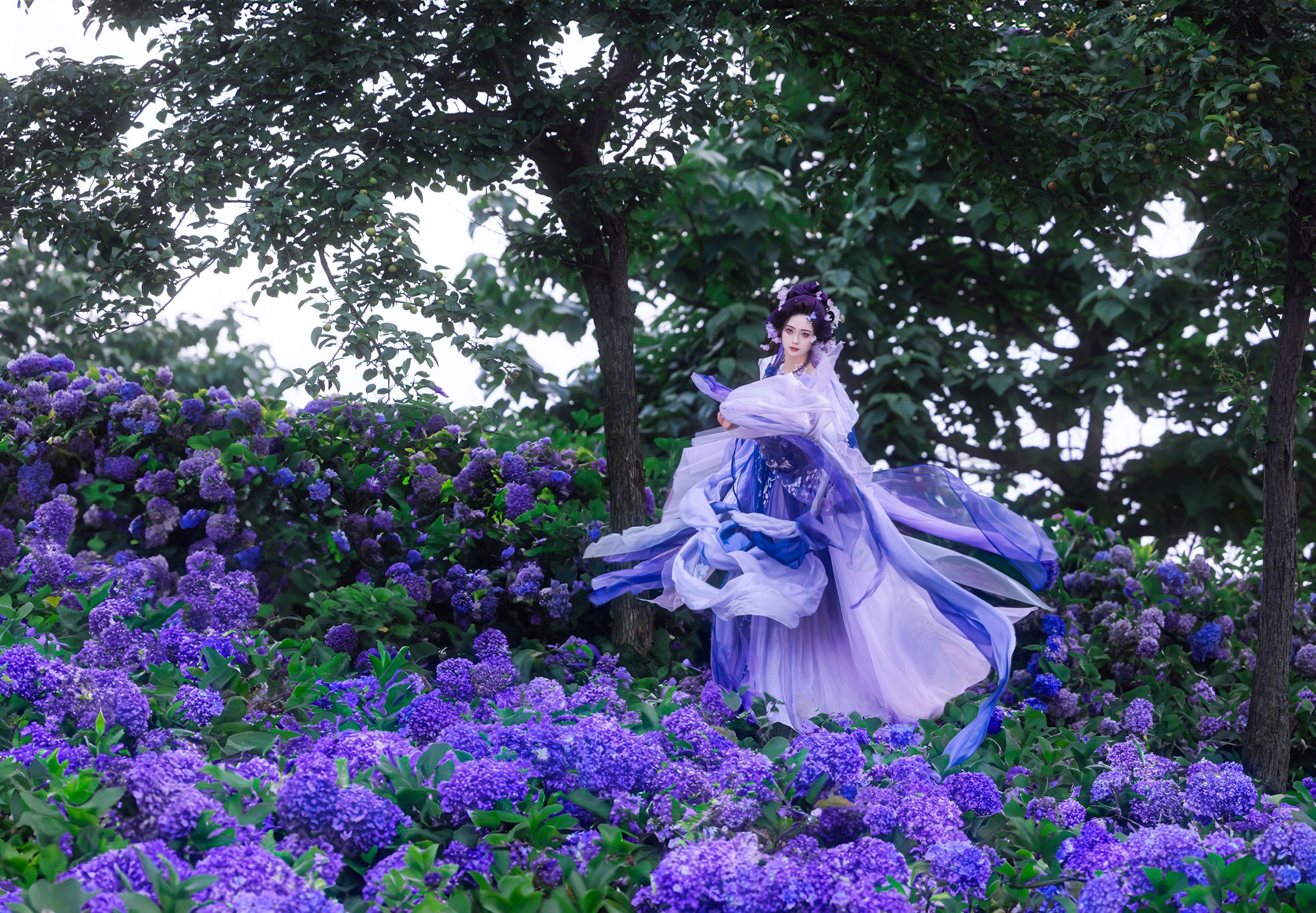 图片[6] - 乐安 - 《以花遥祝，四方葳蕤》[18P] - 机器猫次元 - 机器猫次元