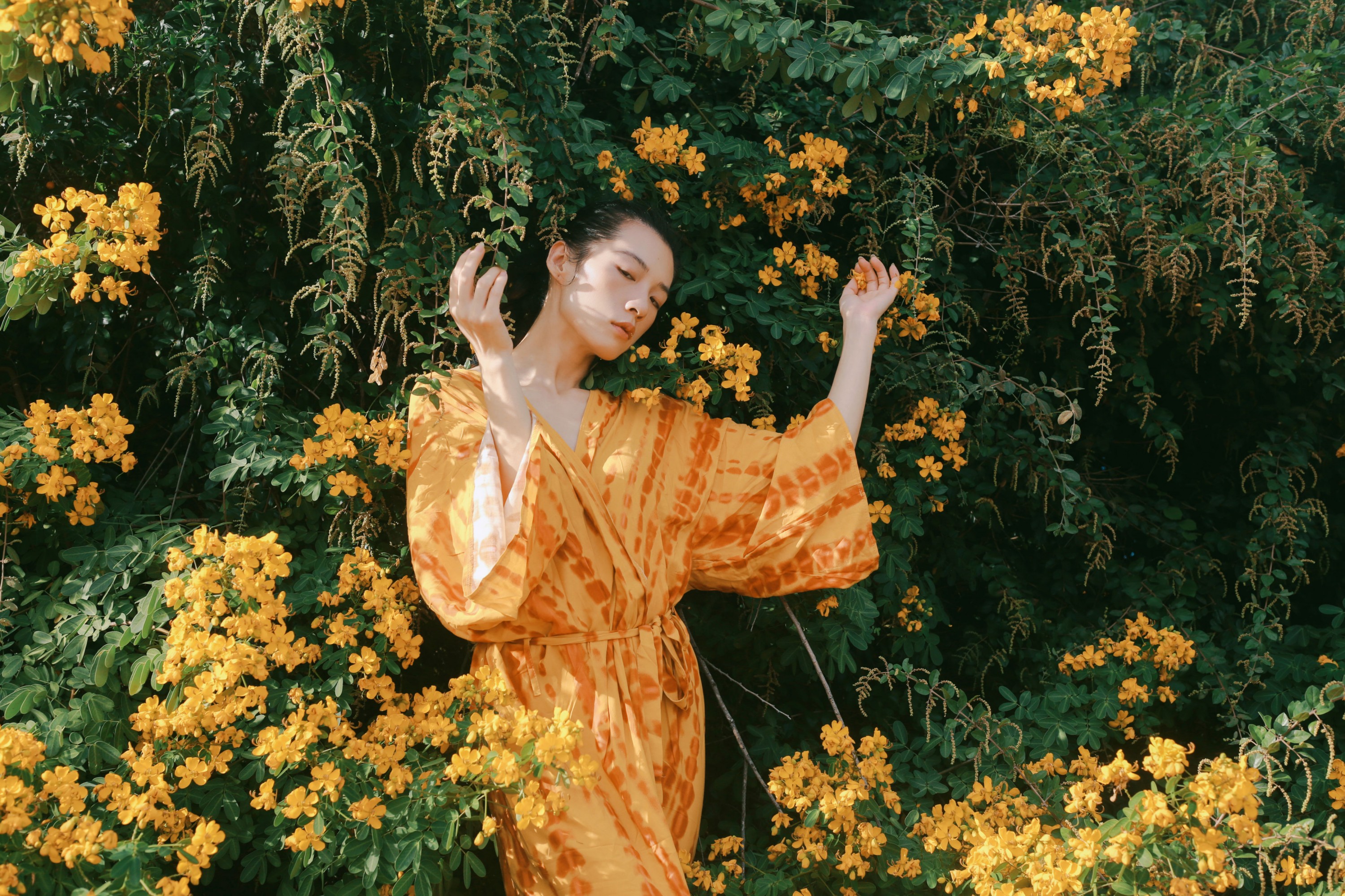 图片[7] - 《满树黄花》[21P] - 机器猫次元 - 机器猫次元