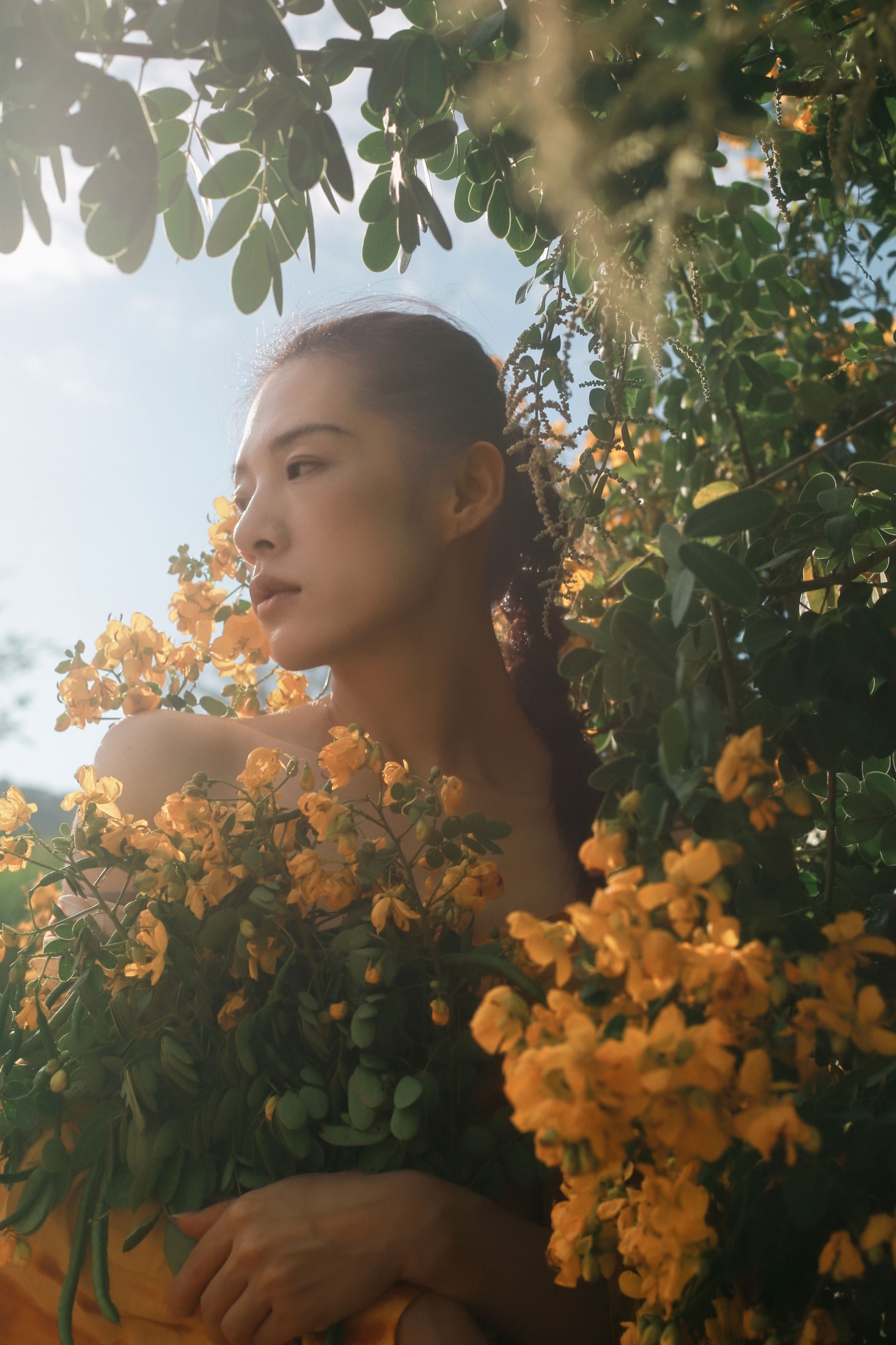图片[8] - 《满树黄花》[21P] - 机器猫次元 - 机器猫次元