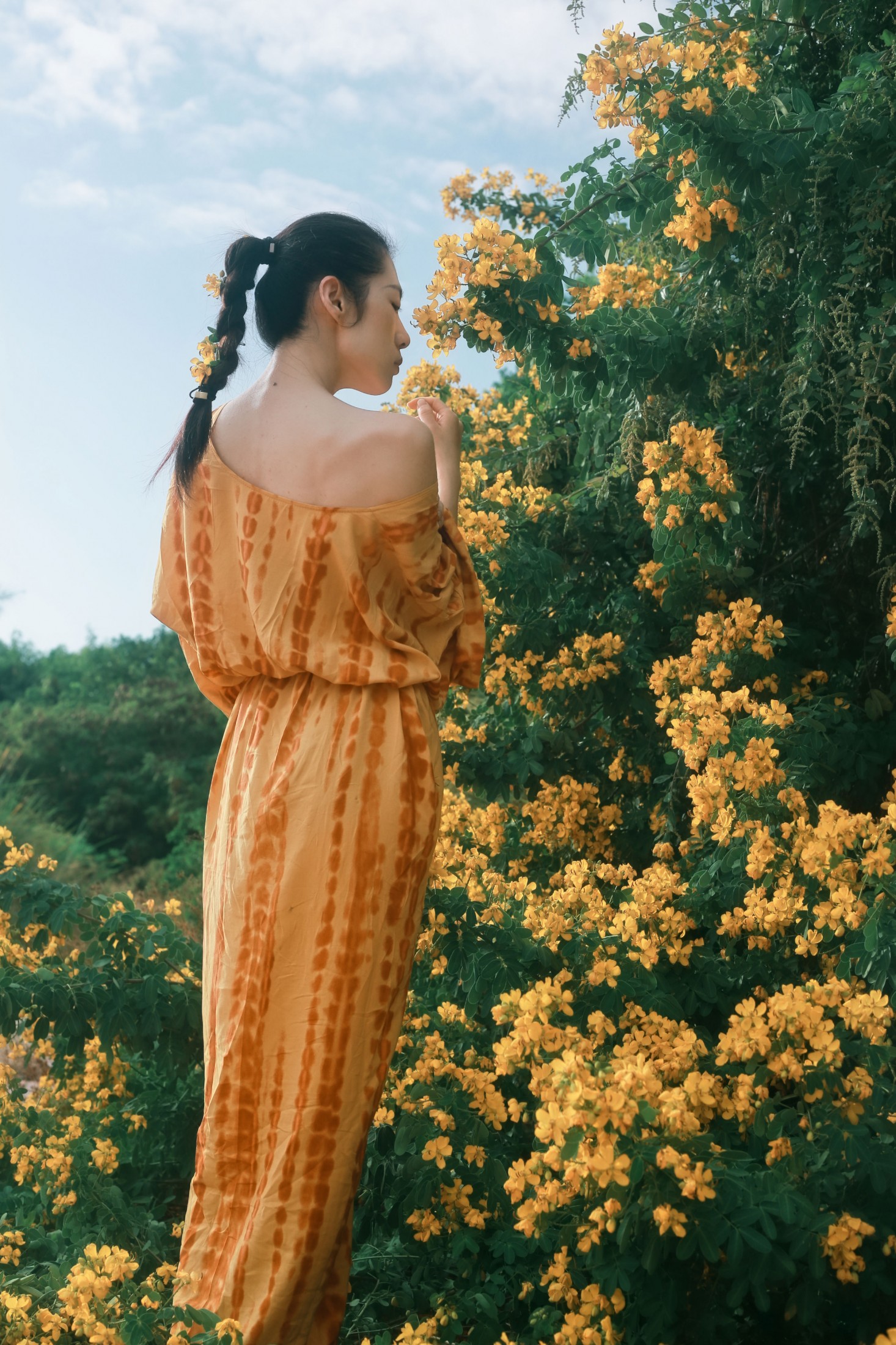 图片[4] - 《满树黄花》[21P] - 机器猫次元 - 机器猫次元