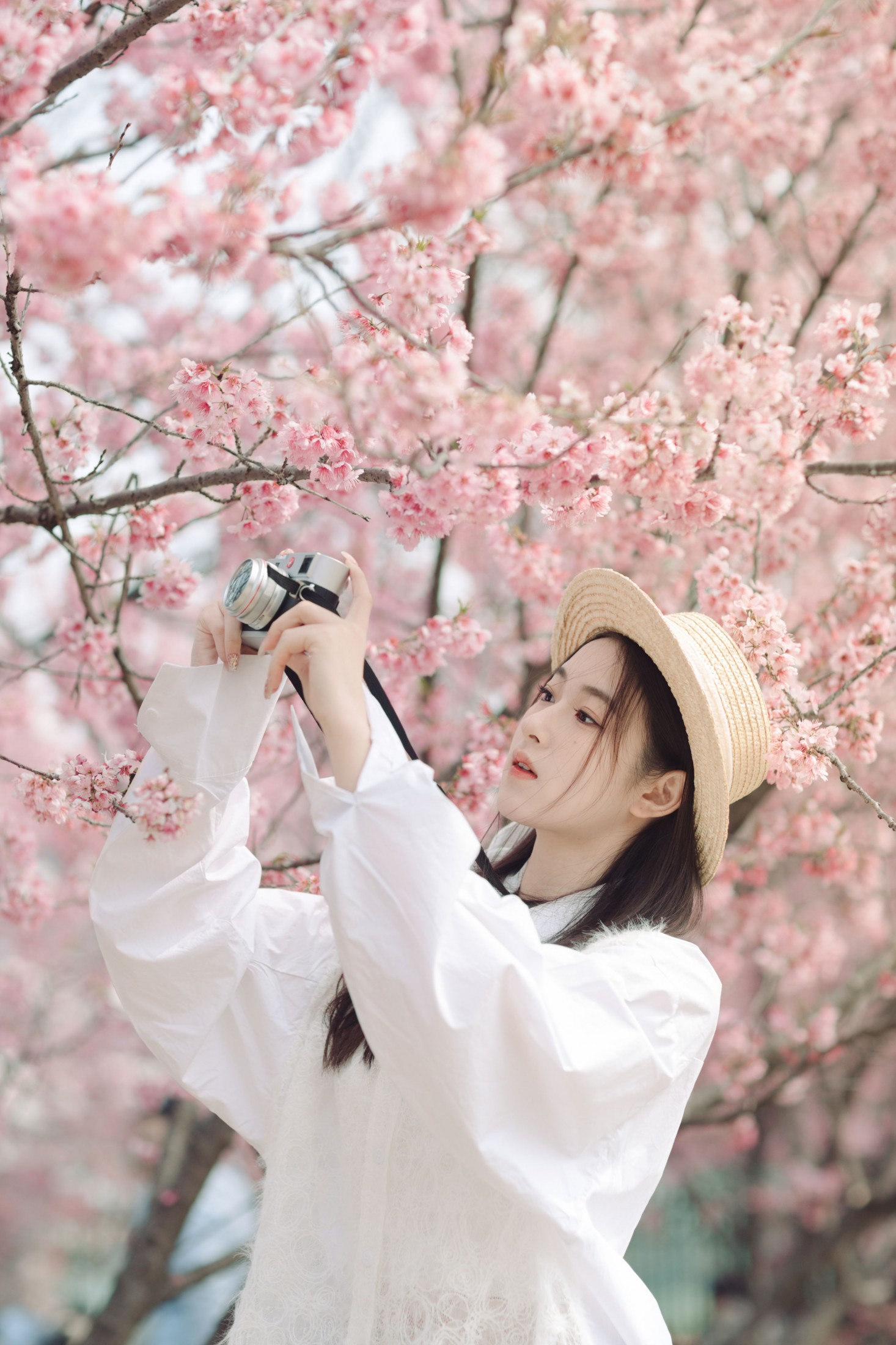 图片[1] - 予晗 - 《樱花盛开》[37P] - 机器猫次元 - 机器猫次元