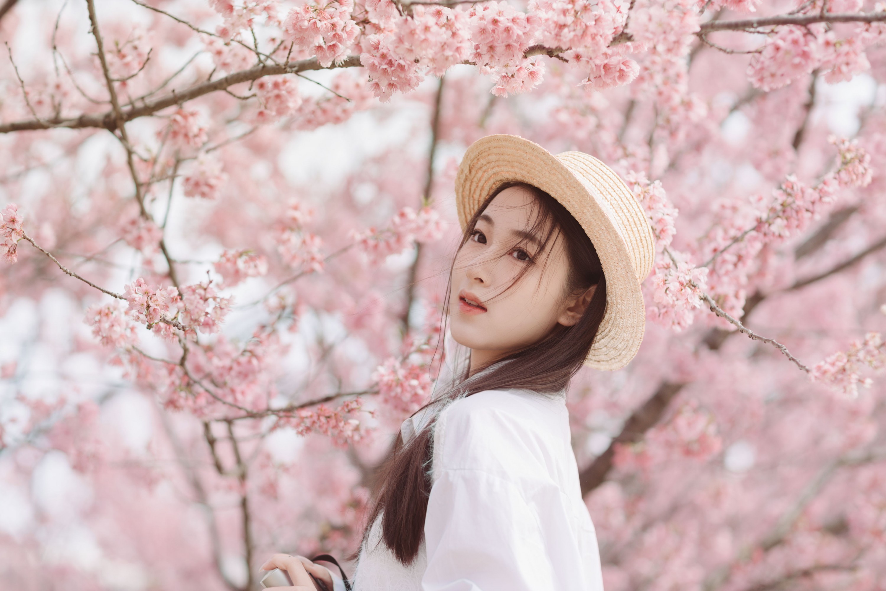 图片[3] - 予晗 - 《樱花盛开》[37P] - 机器猫次元 - 机器猫次元