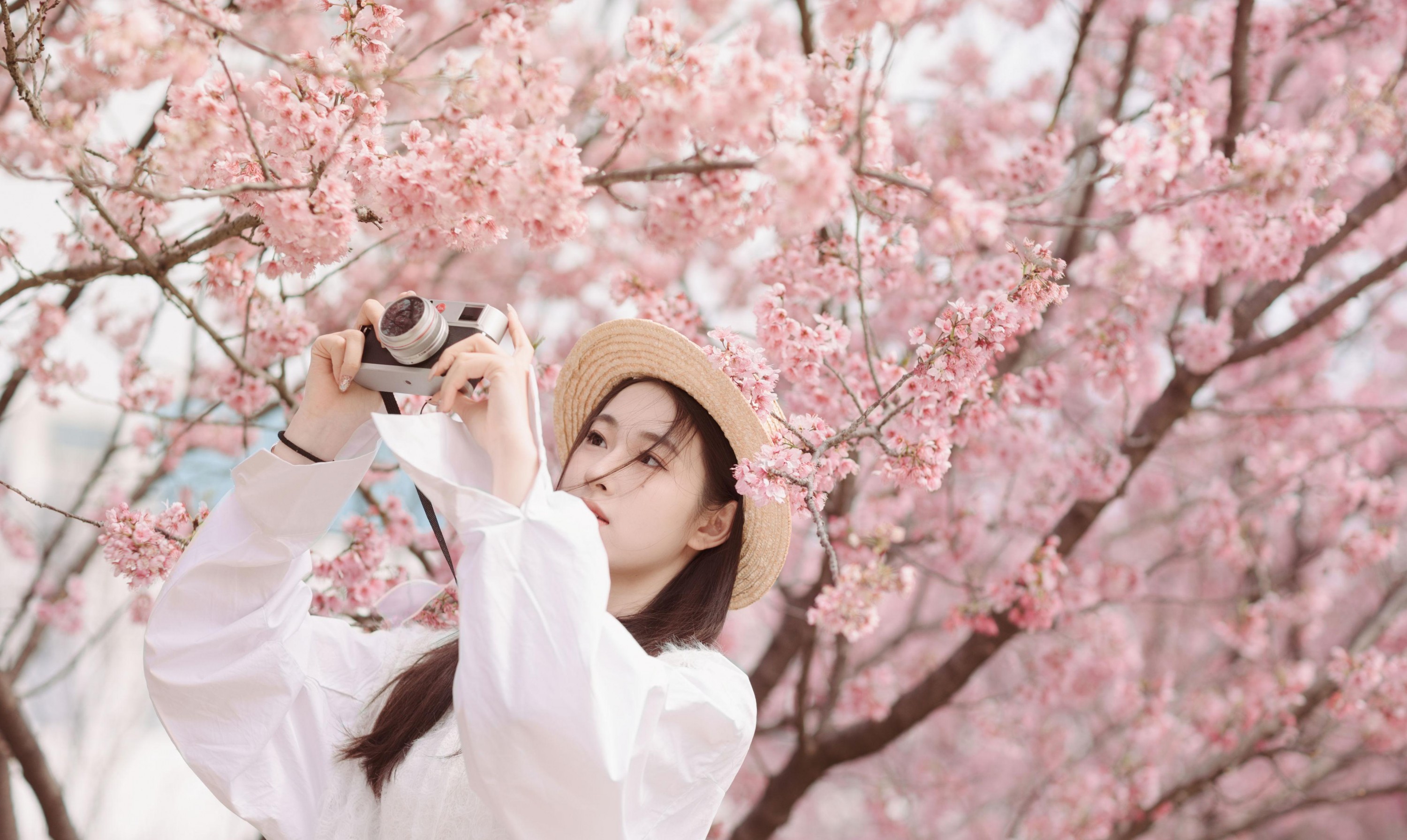 图片[2] - 予晗 - 《樱花盛开》[37P] - 机器猫次元 - 机器猫次元
