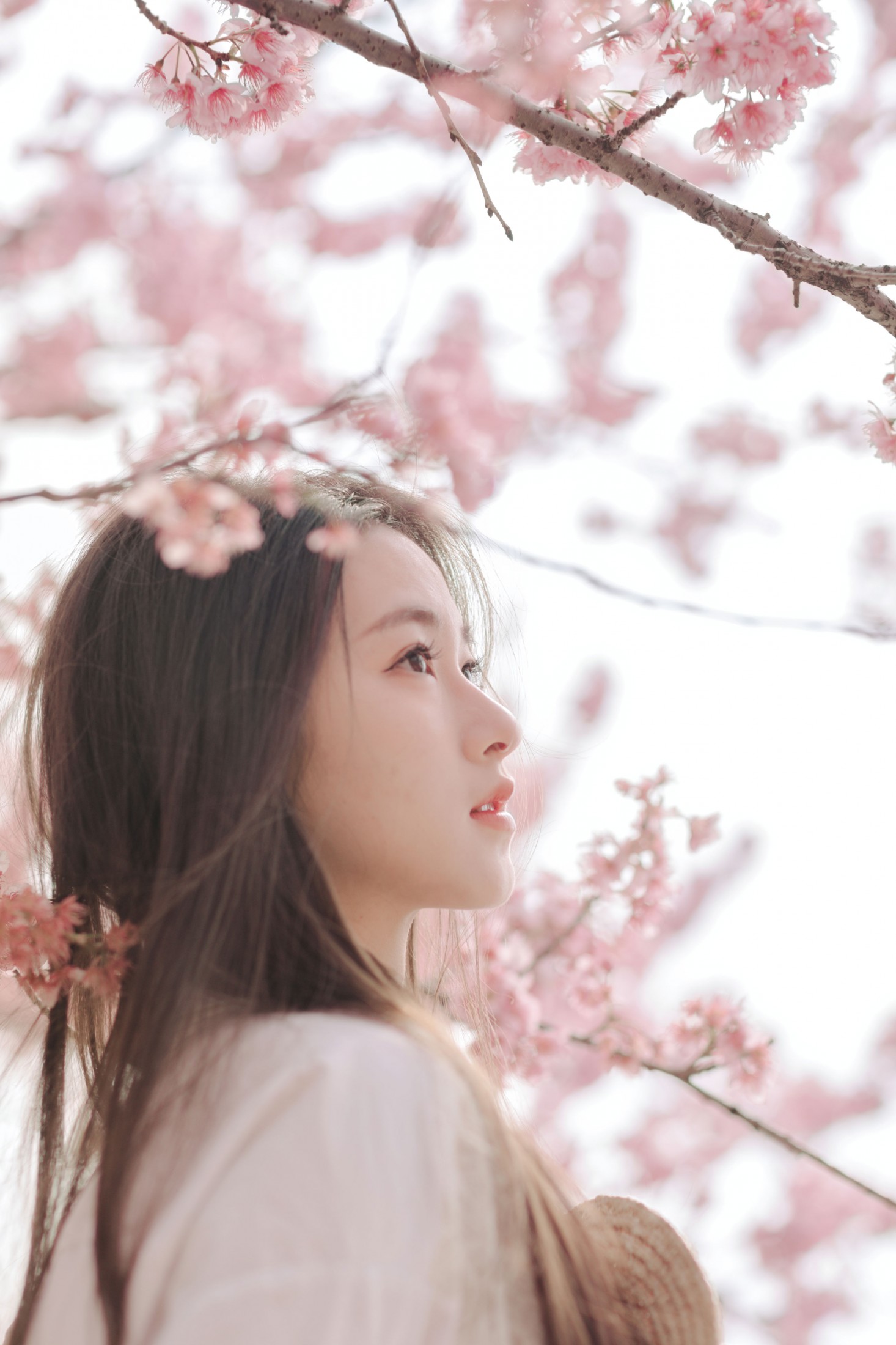 图片[8] - 予晗 - 《樱花盛开》[37P] - 机器猫次元 - 机器猫次元