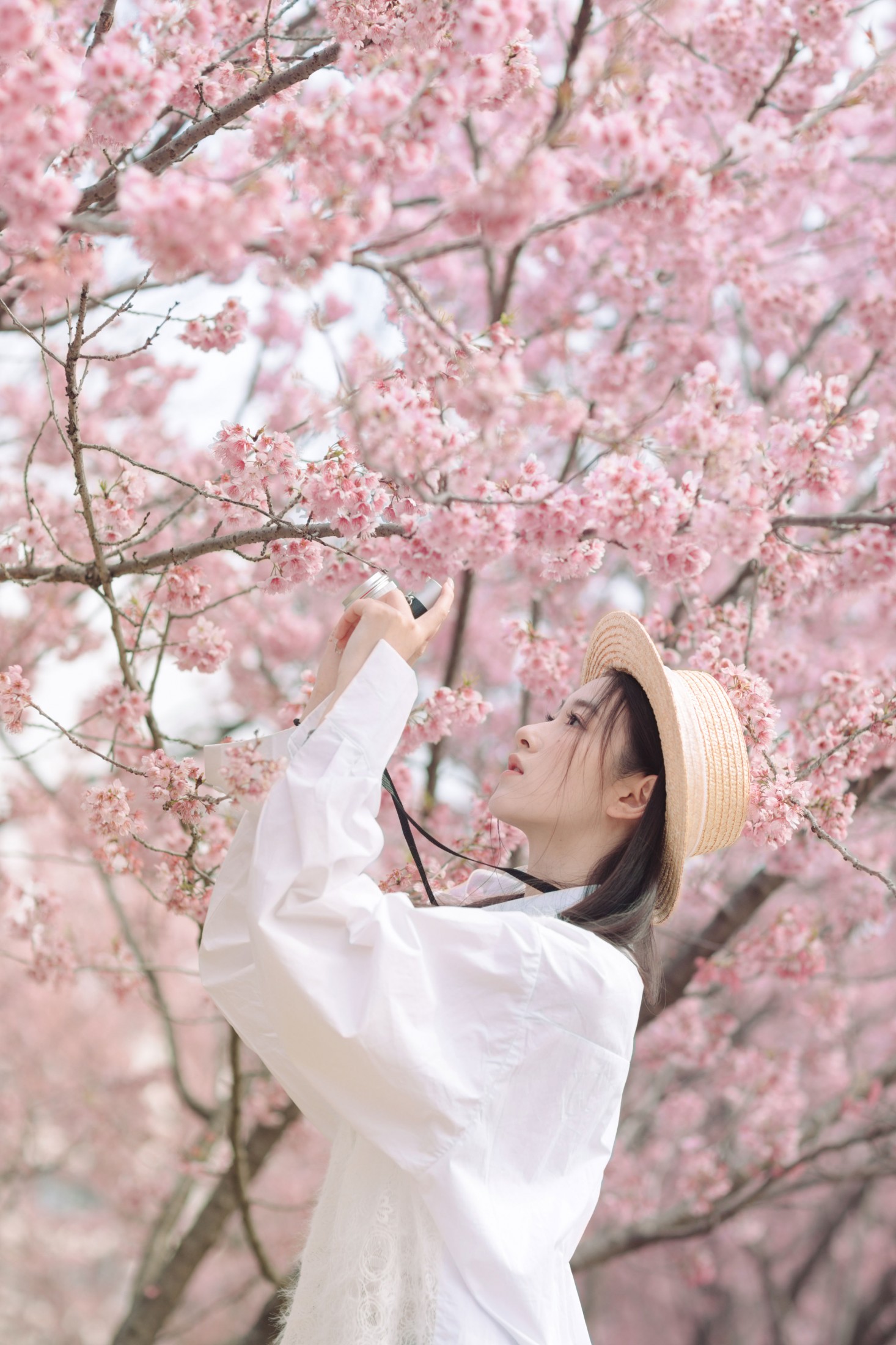 图片[4] - 予晗 - 《樱花盛开》[37P] - 机器猫次元 - 机器猫次元