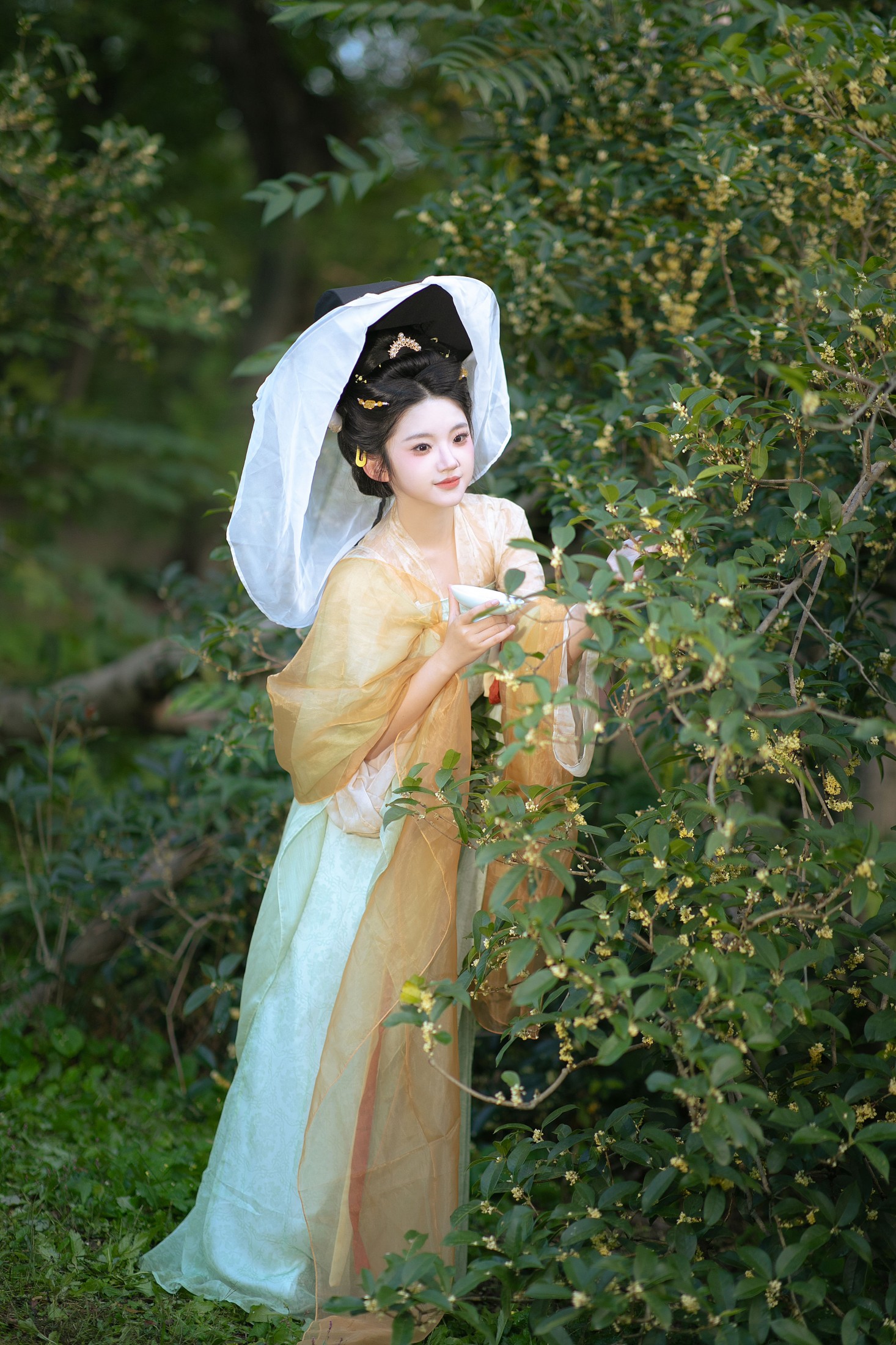 图片[1] - 熊猫牙 - 《几度秋意浓，最是桂花香。》[12P] - 机器猫次元 - 机器猫次元