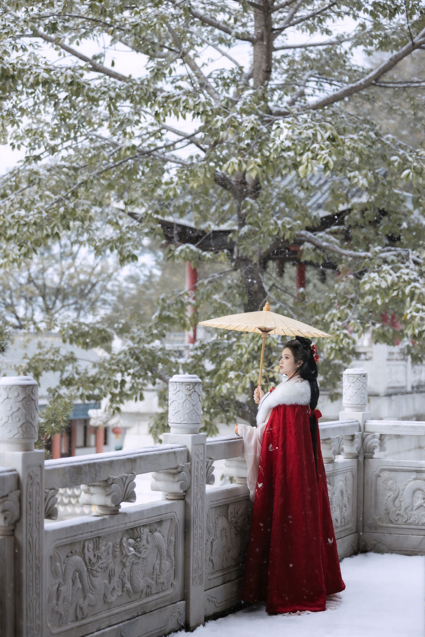 图片[8] - 三也酱酱 - 《红梅白雪知》[26P] - 机器猫次元 - 机器猫次元