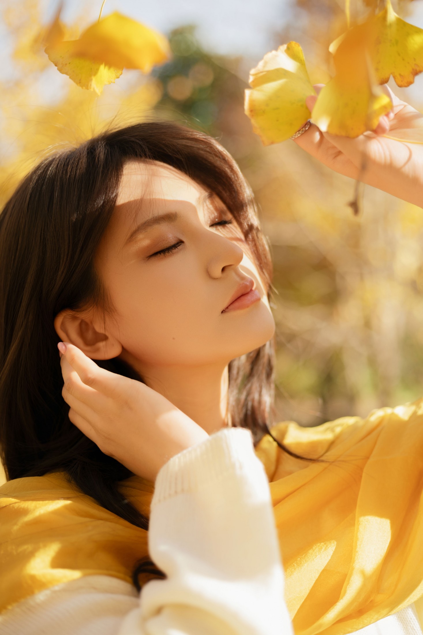 图片[3] - 景猪 - 《金秋银杏》[35P] - 机器猫次元 - 机器猫次元