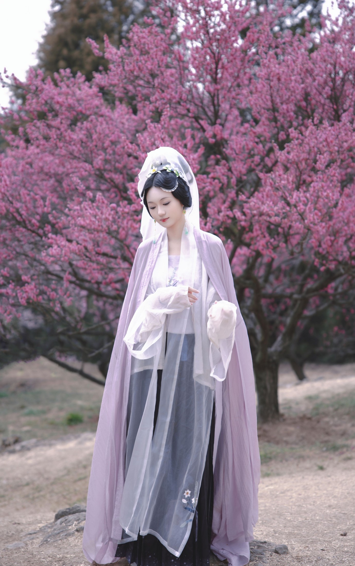 图片[3] - 观湳 - 《倚东风，一笑嫣然》[9P] - 机器猫次元 - 机器猫次元