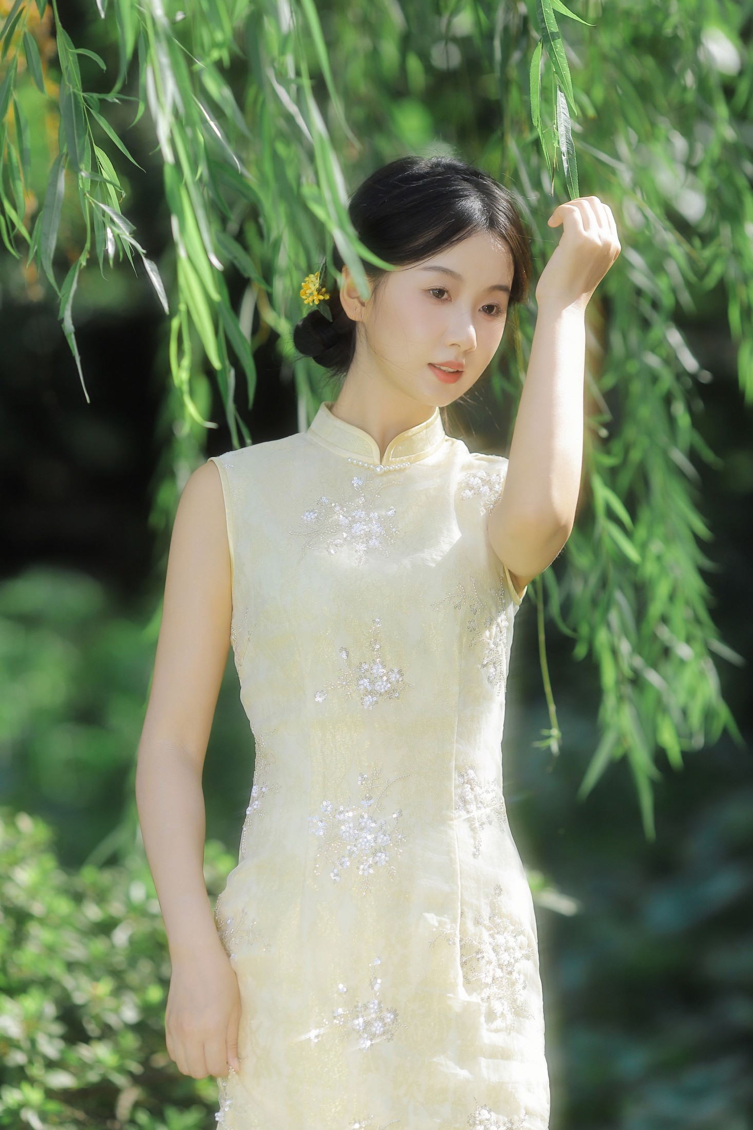图片[6] - 摘星星给你呀 - 《欲买桂花同载酒》[45P] - 机器猫次元 - 机器猫次元