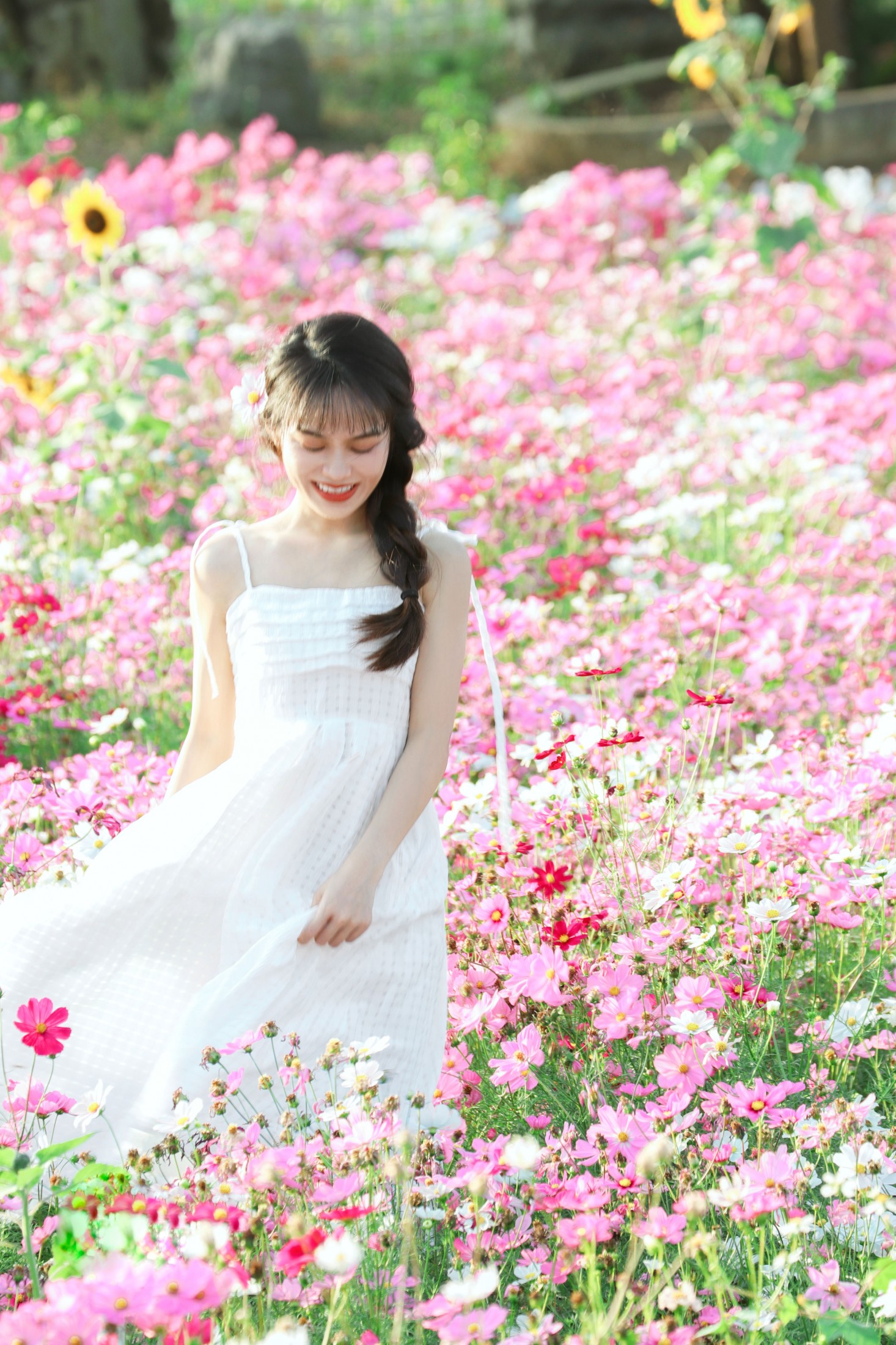 图片[7] - 《格桑花海》[13P] - 机器猫次元 - 机器猫次元