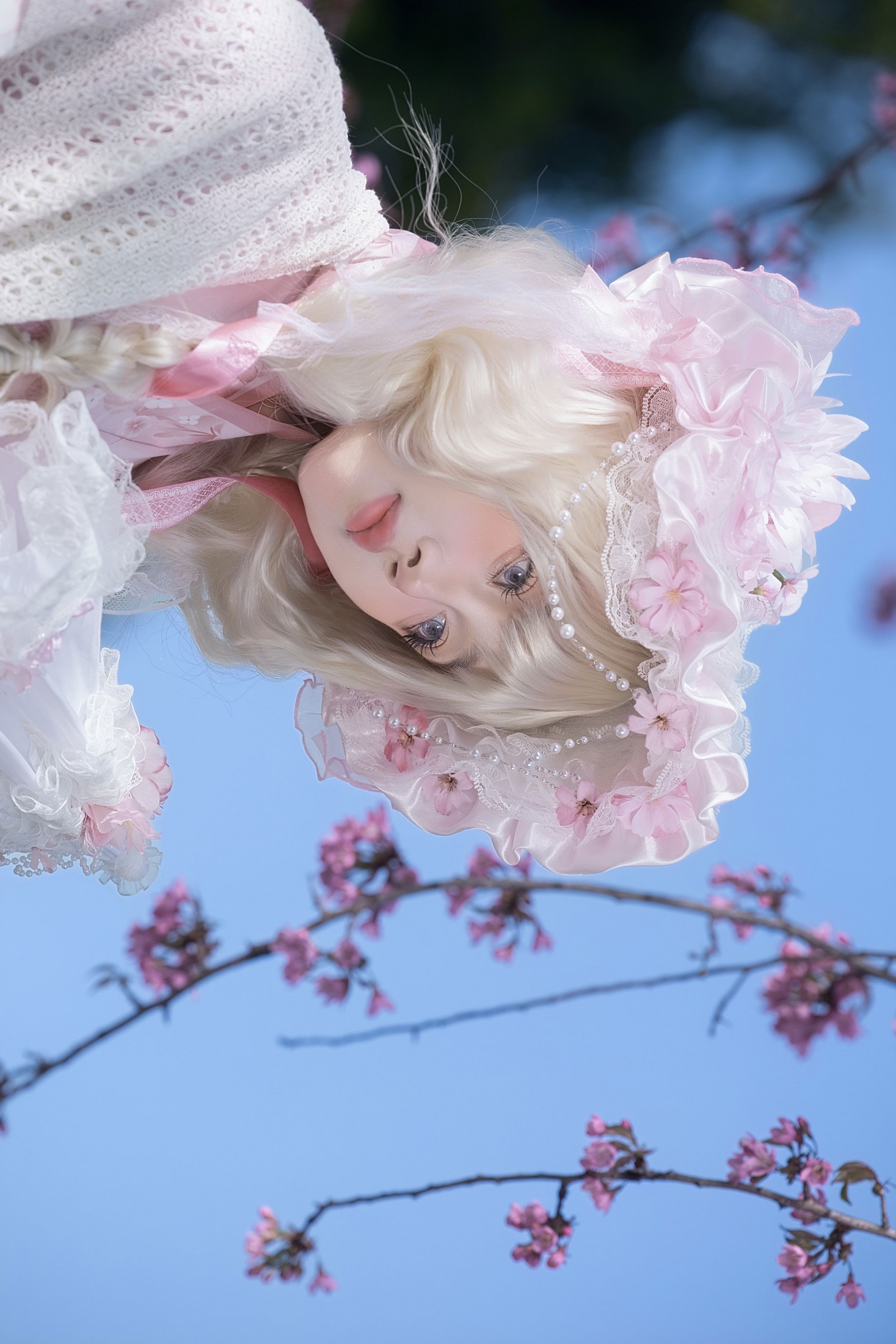 图片[2] - 瑾之鲨鱼 - 《樱花树下》[15P] - 机器猫次元 - 机器猫次元