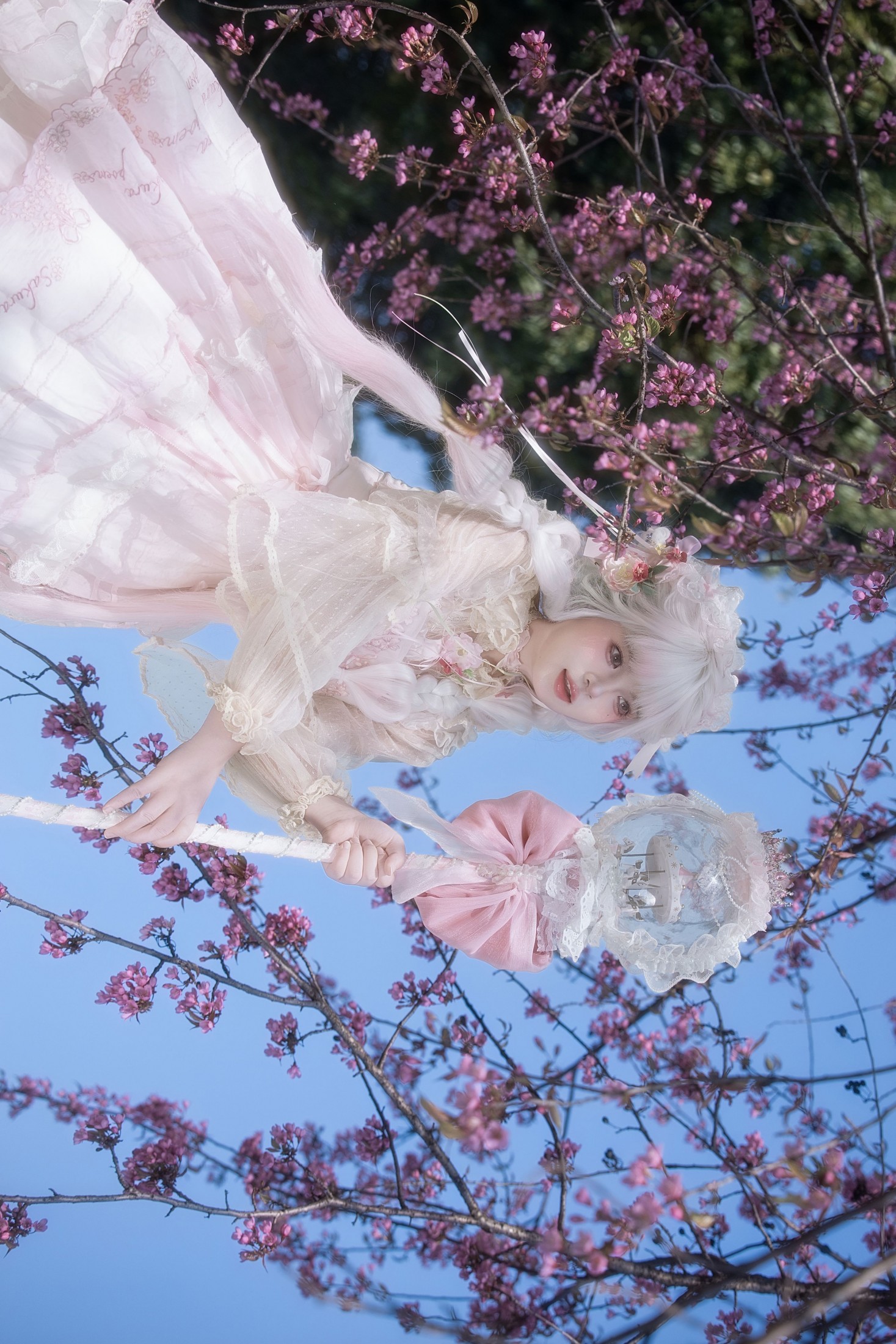 图片[8] - 瑾之鲨鱼 - 《樱花树下》[15P] - 机器猫次元 - 机器猫次元