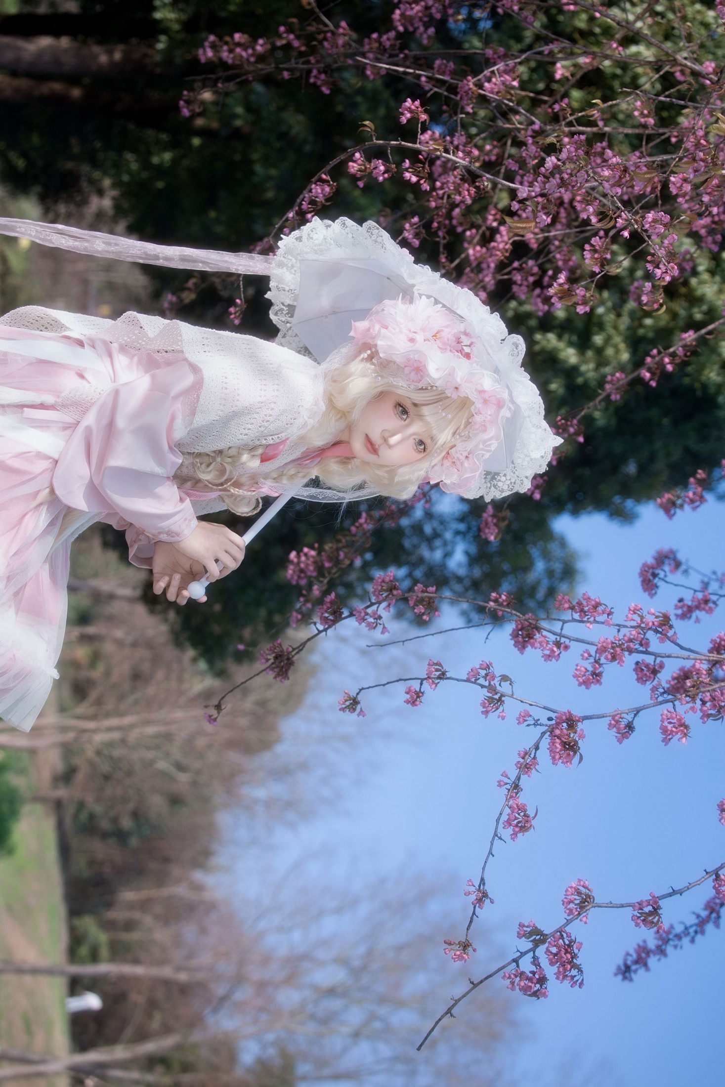 图片[4] - 瑾之鲨鱼 - 《樱花树下》[15P] - 机器猫次元 - 机器猫次元