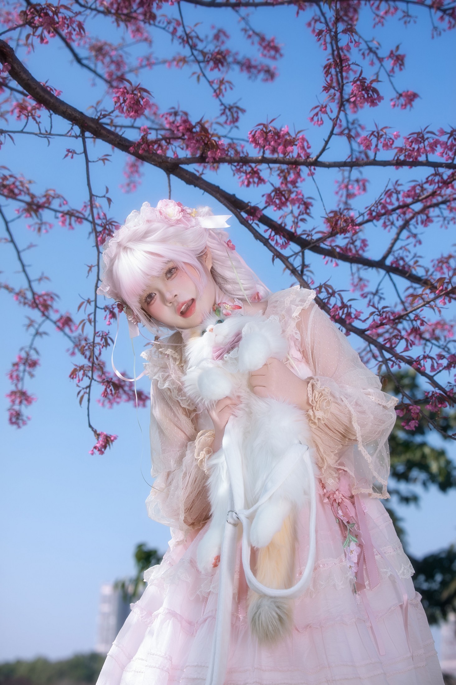 图片[7] - 瑾之鲨鱼 - 《樱花树下》[15P] - 机器猫次元 - 机器猫次元