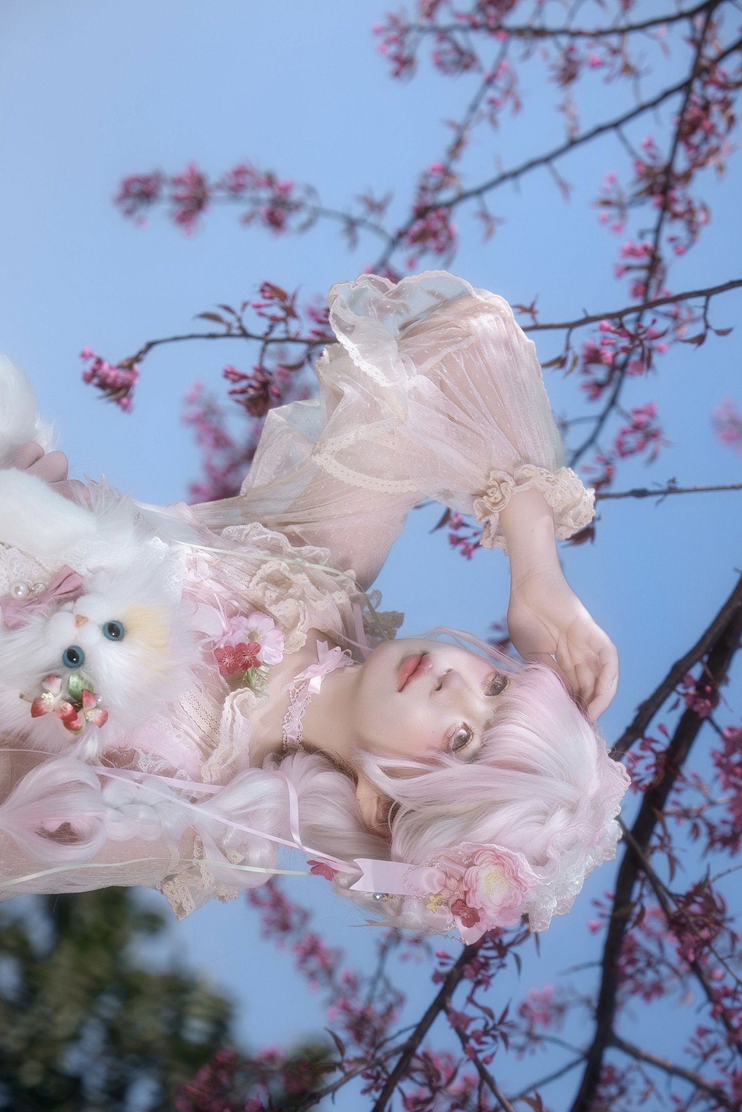 图片[5] - 瑾之鲨鱼 - 《樱花树下》[15P] - 机器猫次元 - 机器猫次元