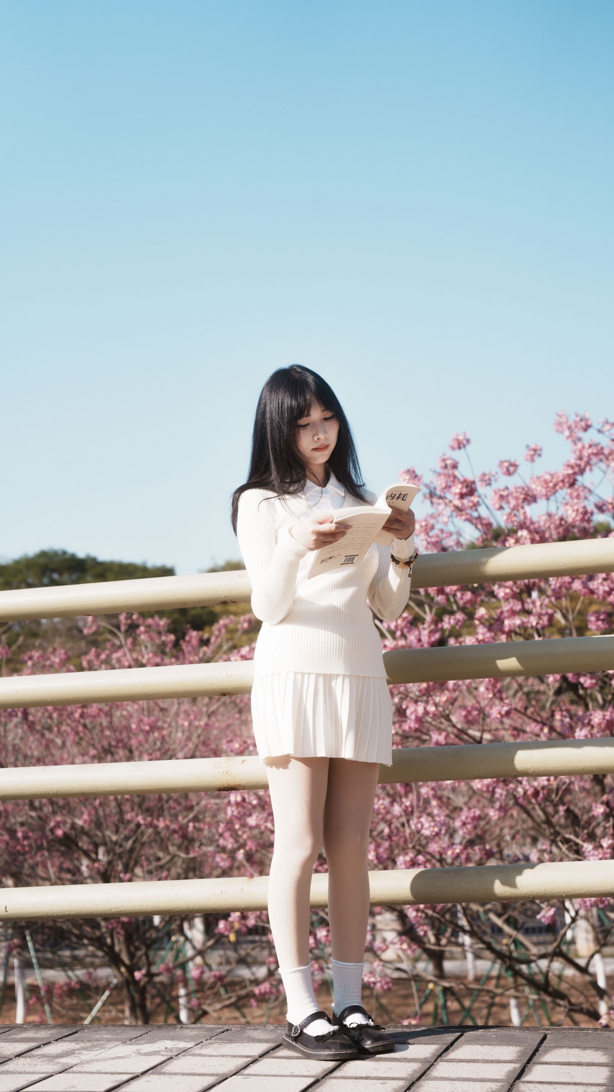 图片[4] - 《光有光的来意》[47P] - 机器猫次元 - 机器猫次元