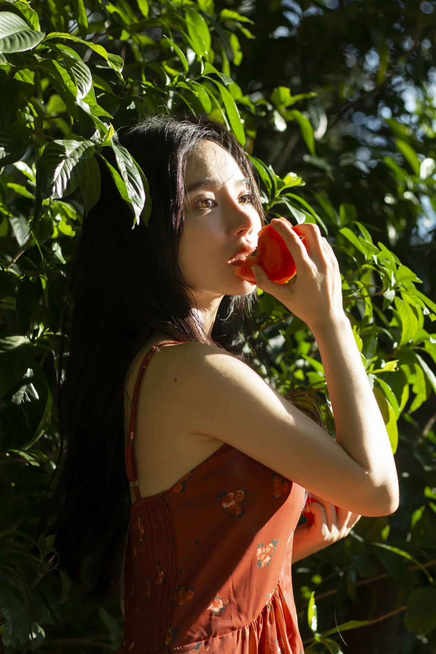 图片[3] - 《西红柿味的夏天》[27P] - 机器猫次元 - 机器猫次元