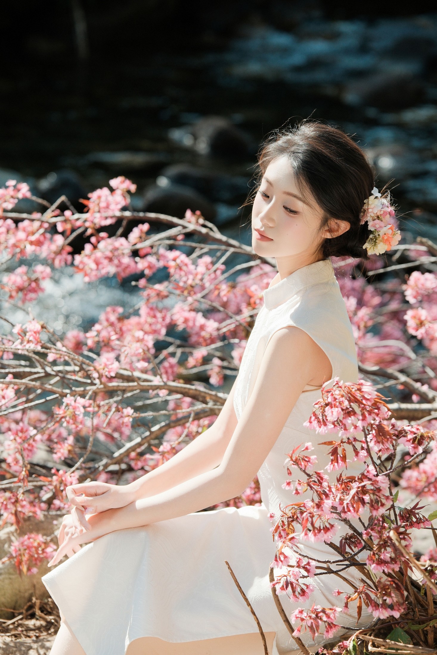 图片[2] - 一口烧麦 - 《春风十里，樱香四溢》[30P] - 机器猫次元 - 机器猫次元