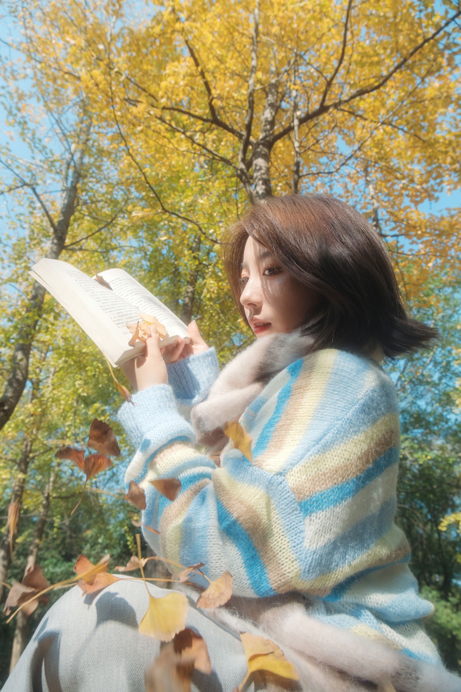 图片[1] - 《银杏叶的秋》[31P] - 机器猫次元 - 机器猫次元