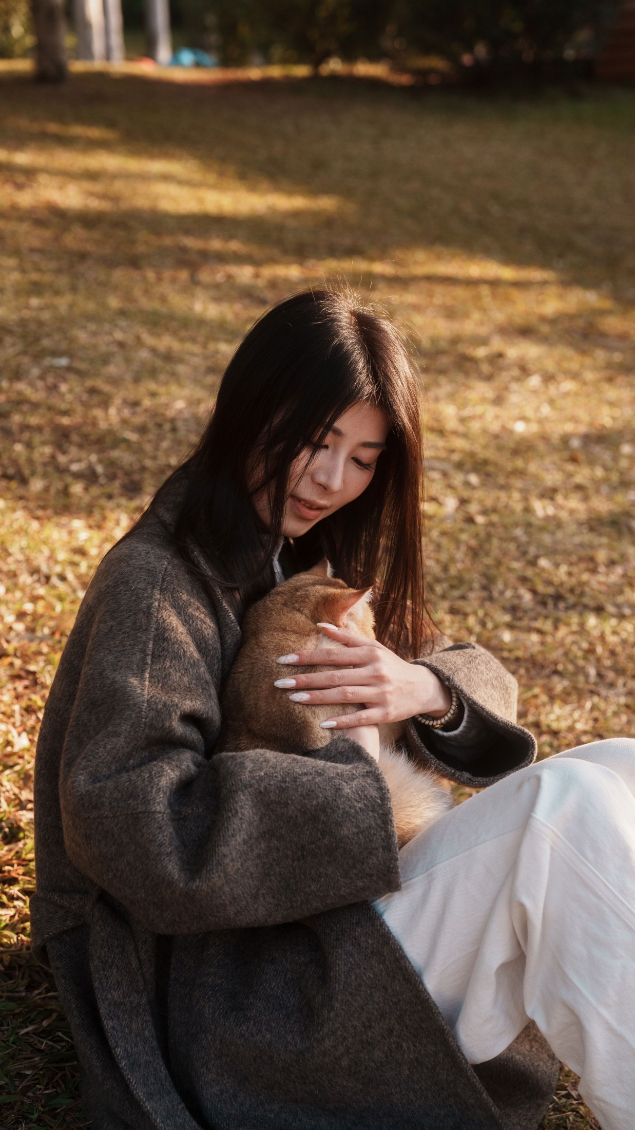 图片[1] - 《秋意落羽杉》[38P] - 机器猫次元 - 机器猫次元