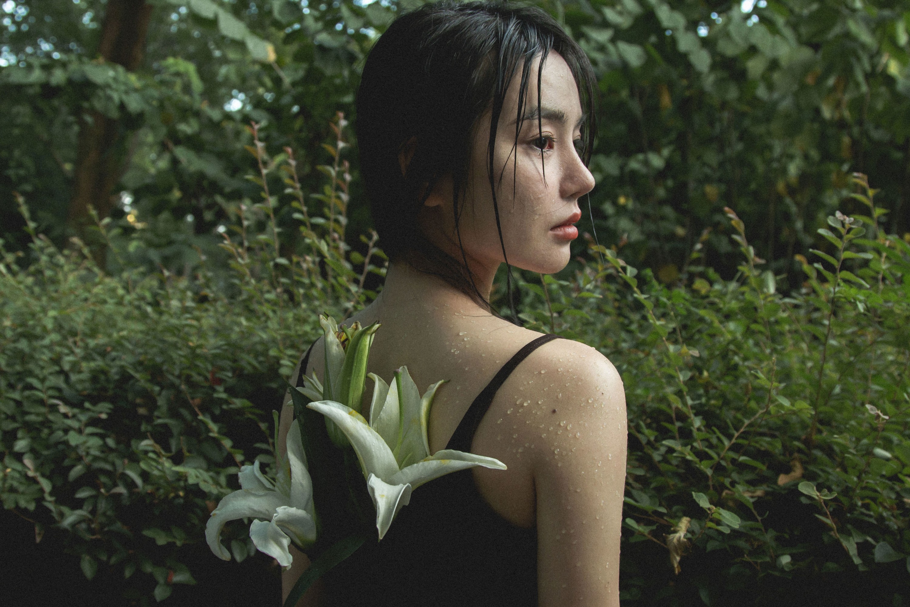 图片[3] - 《雨中百合》[33P] - 机器猫次元 - 机器猫次元