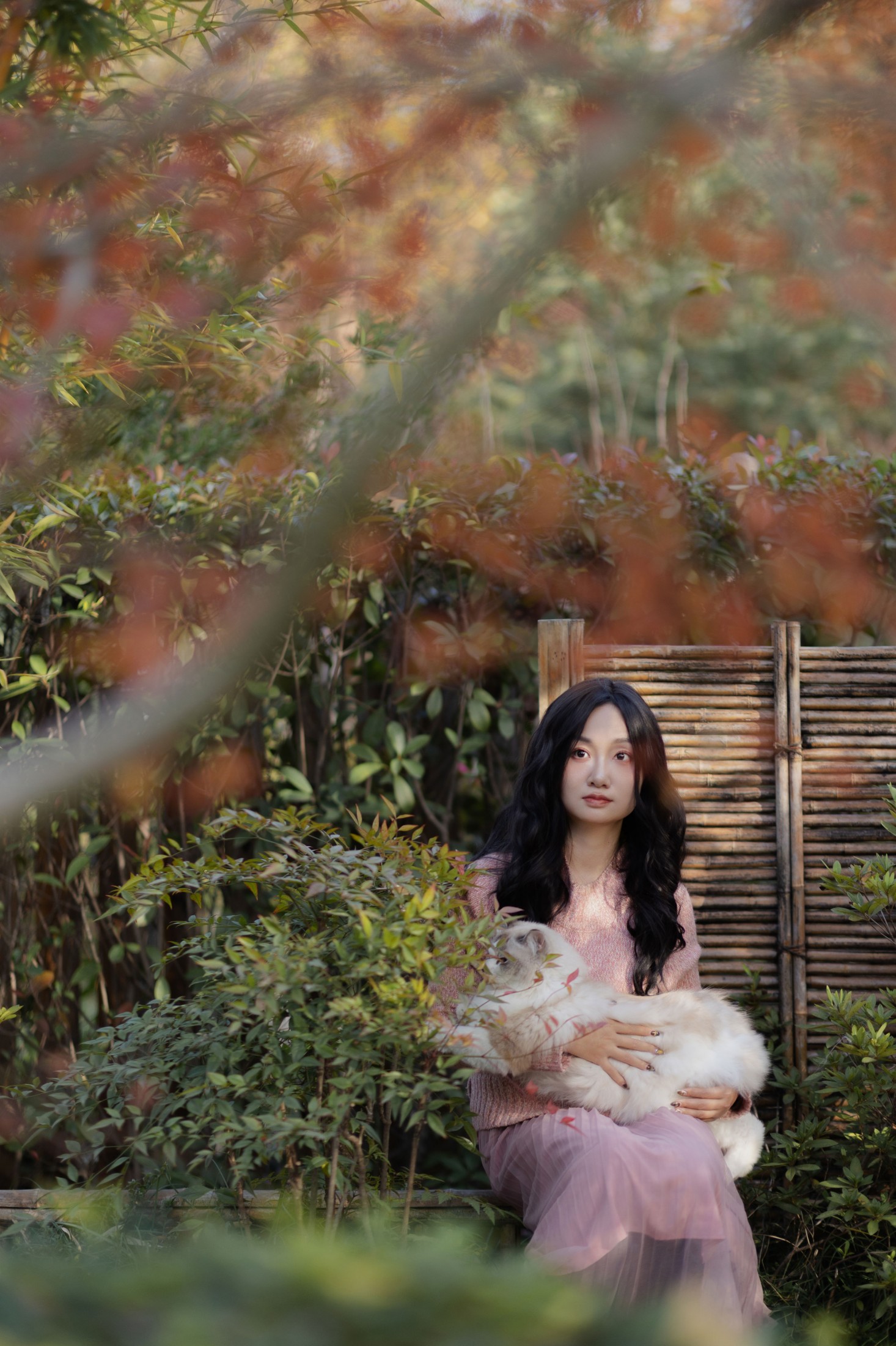 图片[4] - 素光 - 《少女与猫》[35P] - 机器猫次元 - 机器猫次元