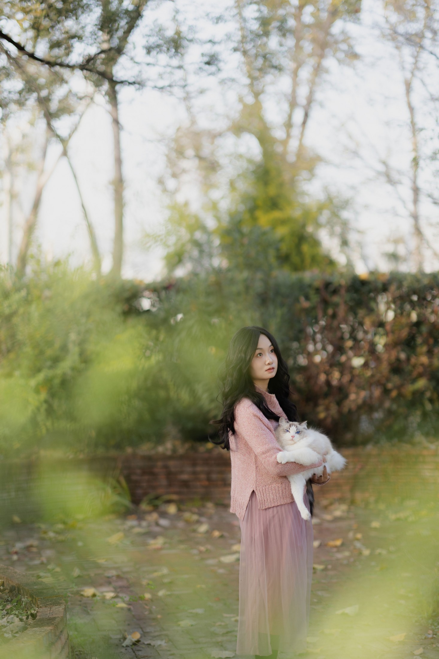 图片[6] - 素光 - 《少女与猫》[35P] - 机器猫次元 - 机器猫次元