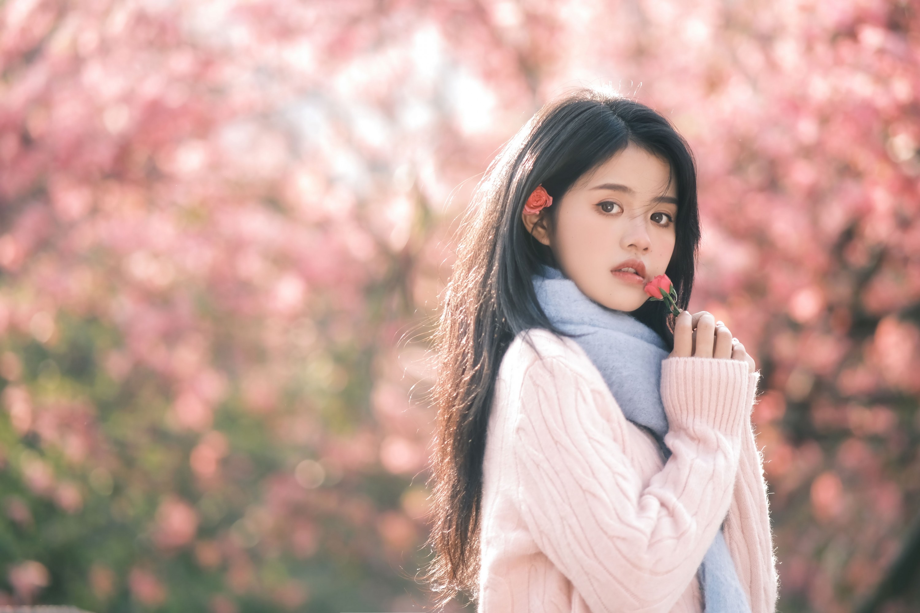 图片[7] - 小谢 - 《异木棉的冬天》[18P] - 机器猫次元 - 机器猫次元