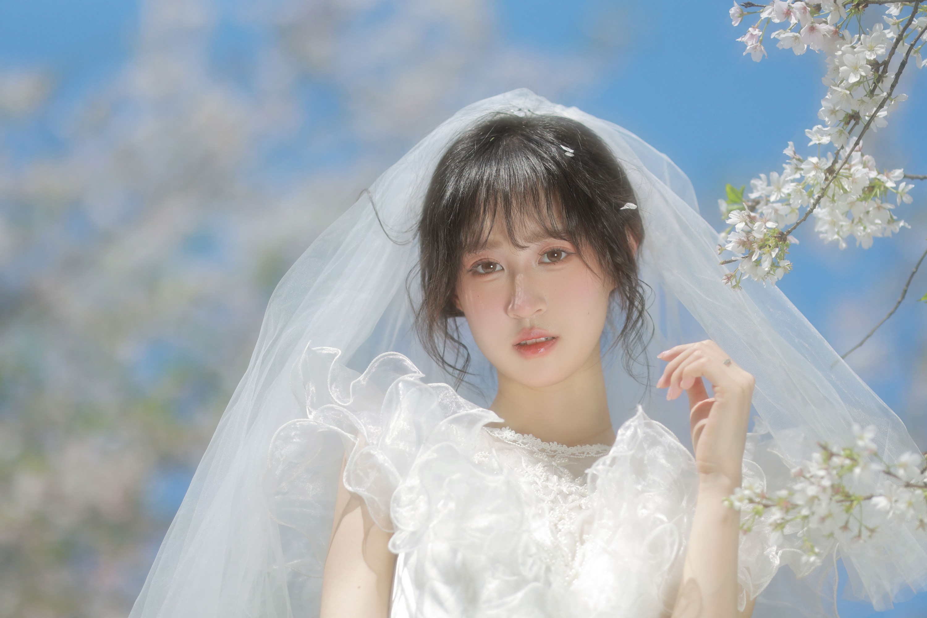 图片[2] - 小庞 - 《白樱恋歌》[16P] - 机器猫次元 - 机器猫次元