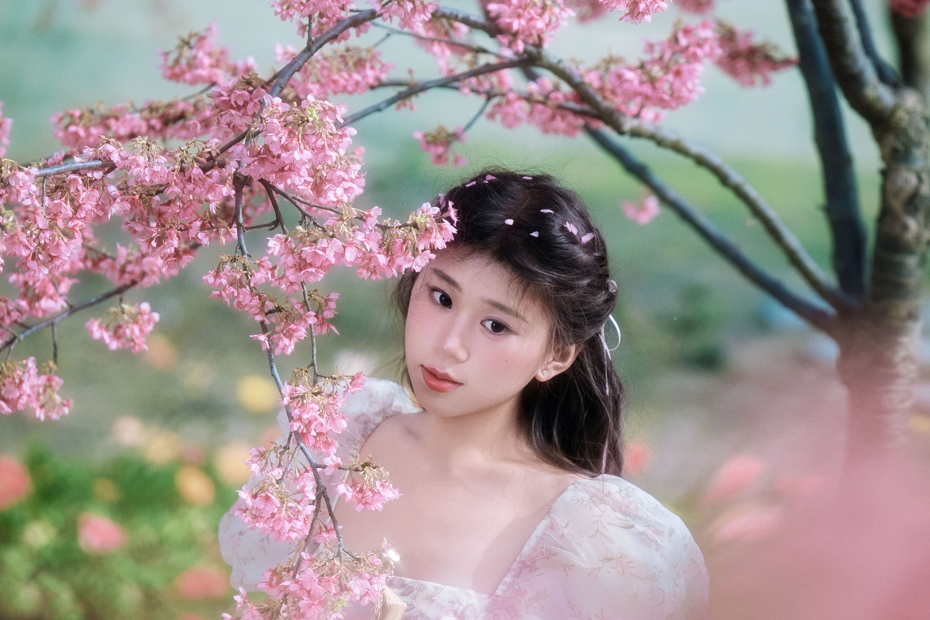 图片[1] - 丹丹 - 《樱花树下》[18P] - 机器猫次元 - 机器猫次元