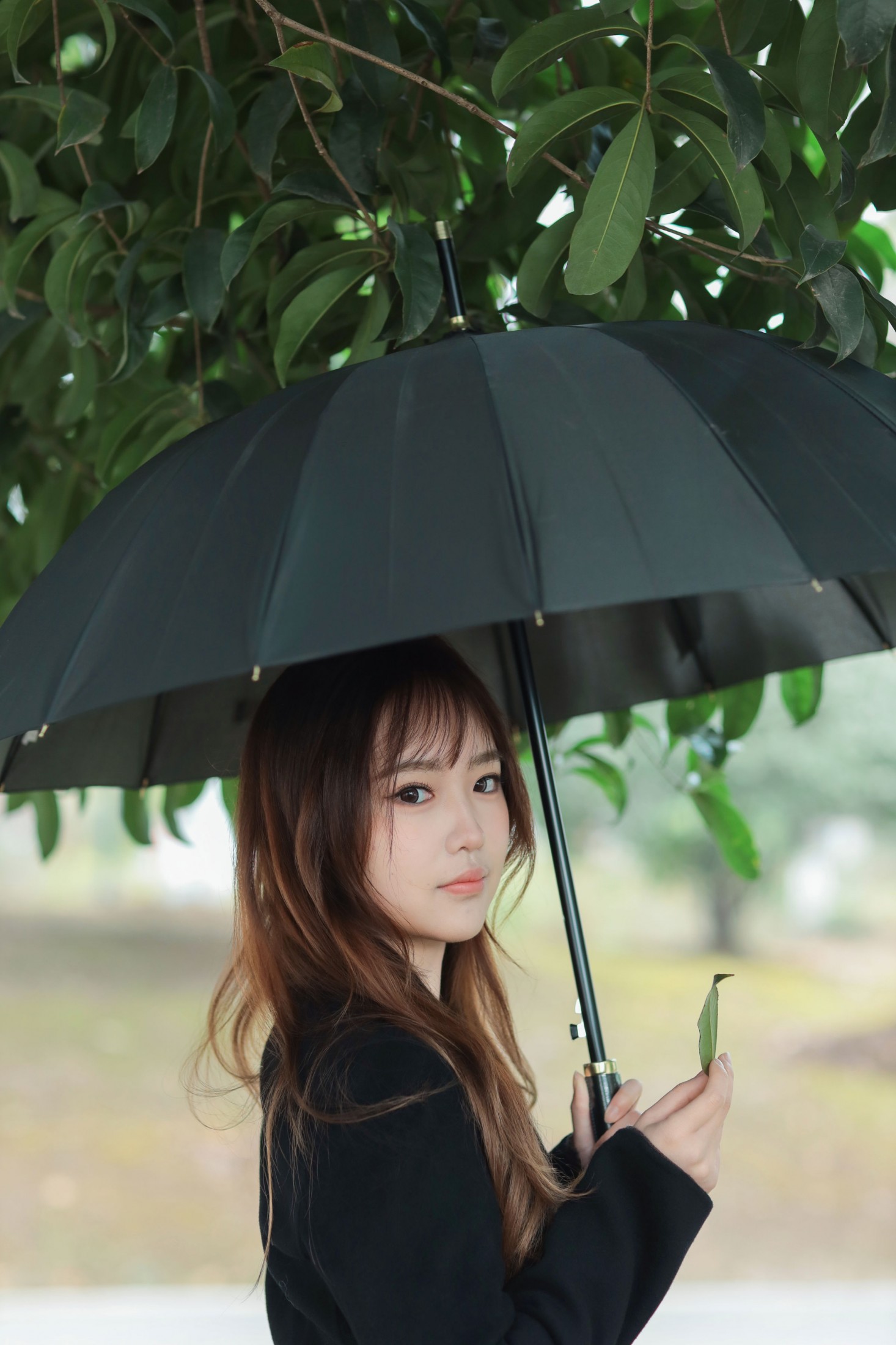 图片[3] - 小绿 - 《绿荫》[26P] - 机器猫次元 - 机器猫次元