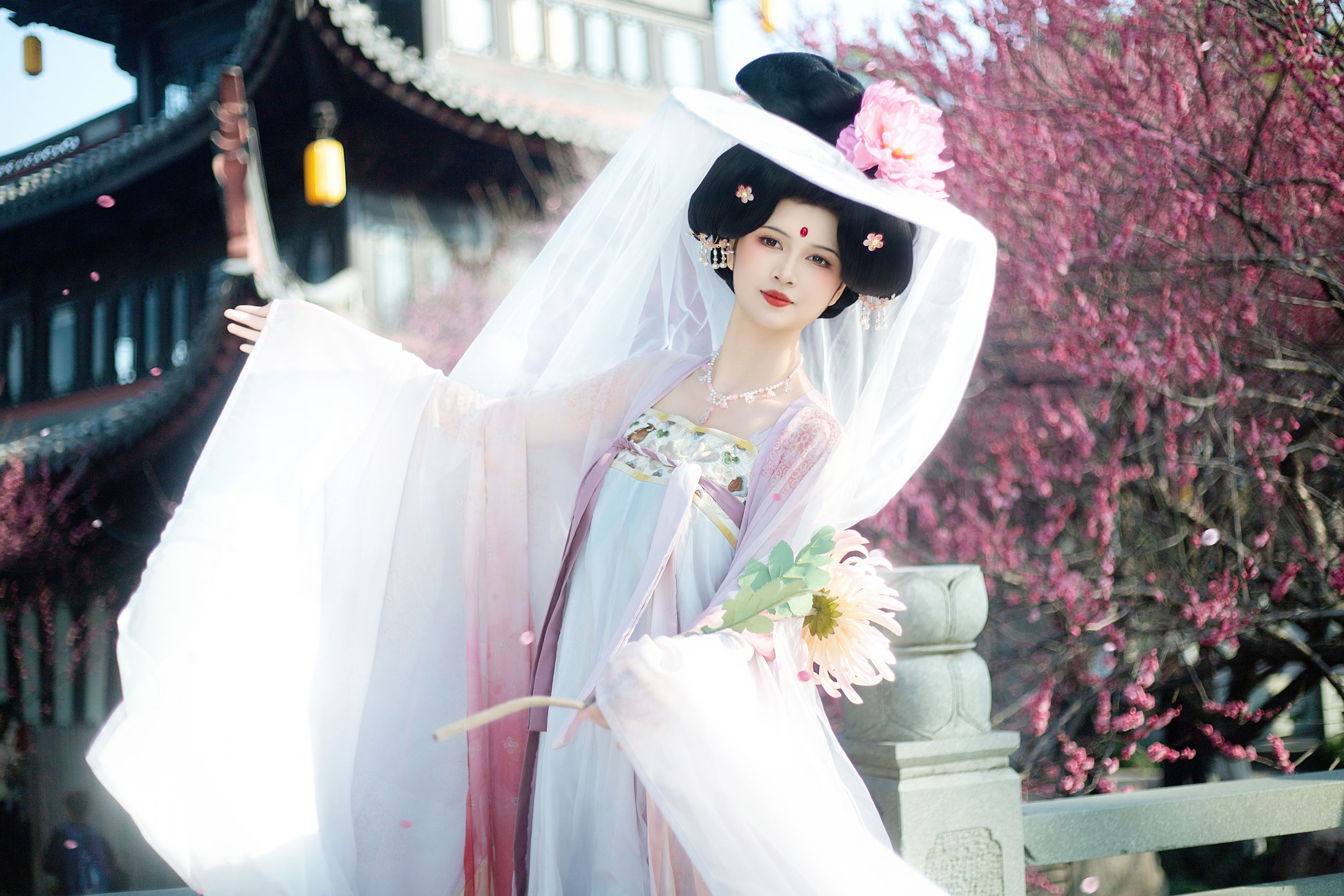 图片[1] - 微微不微辣 - 《唐贵妃赏梅》[12P] - 机器猫次元 - 机器猫次元
