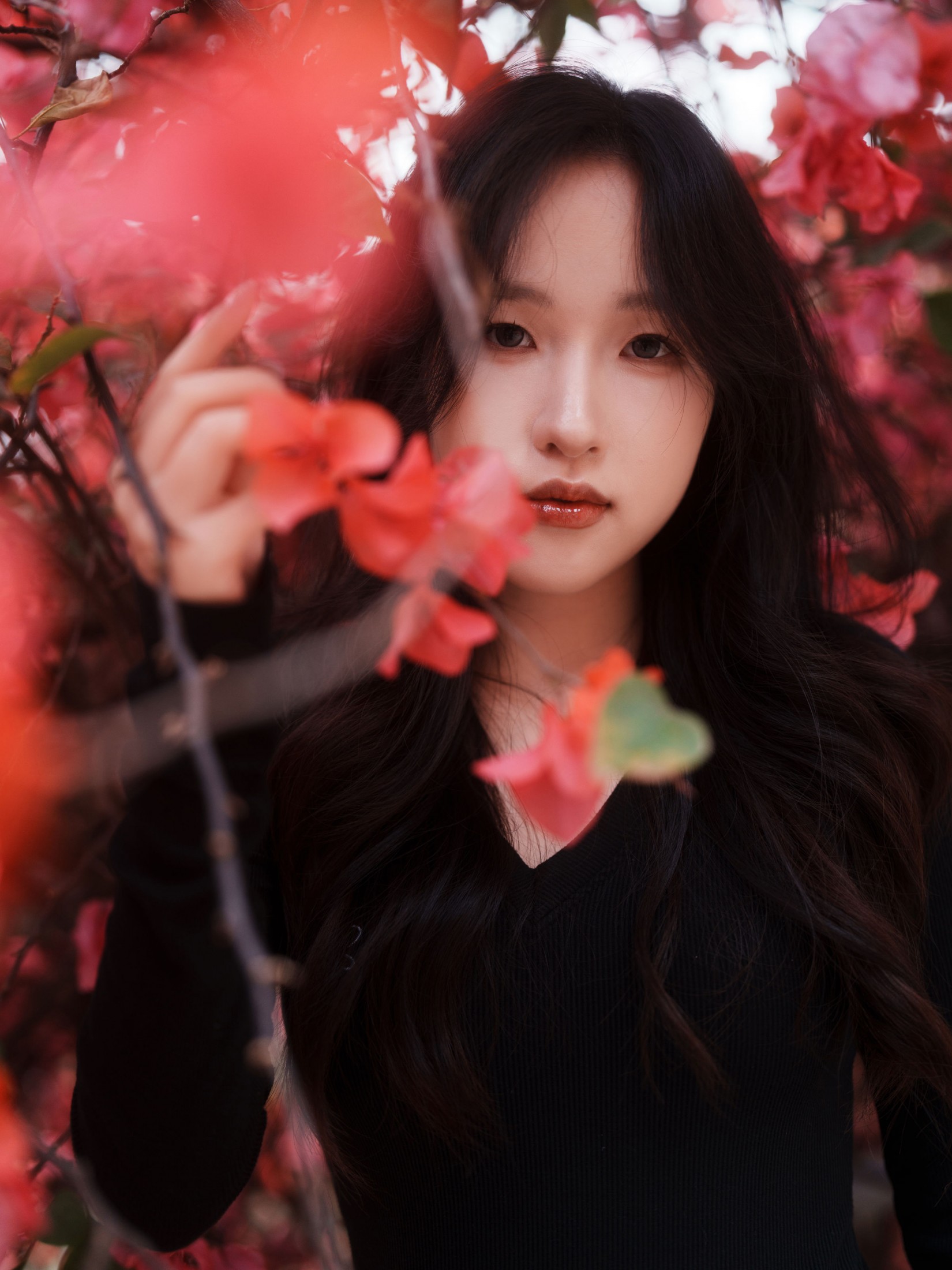 图片[3] - 《三角梅美脸》[53P] - 机器猫次元 - 机器猫次元