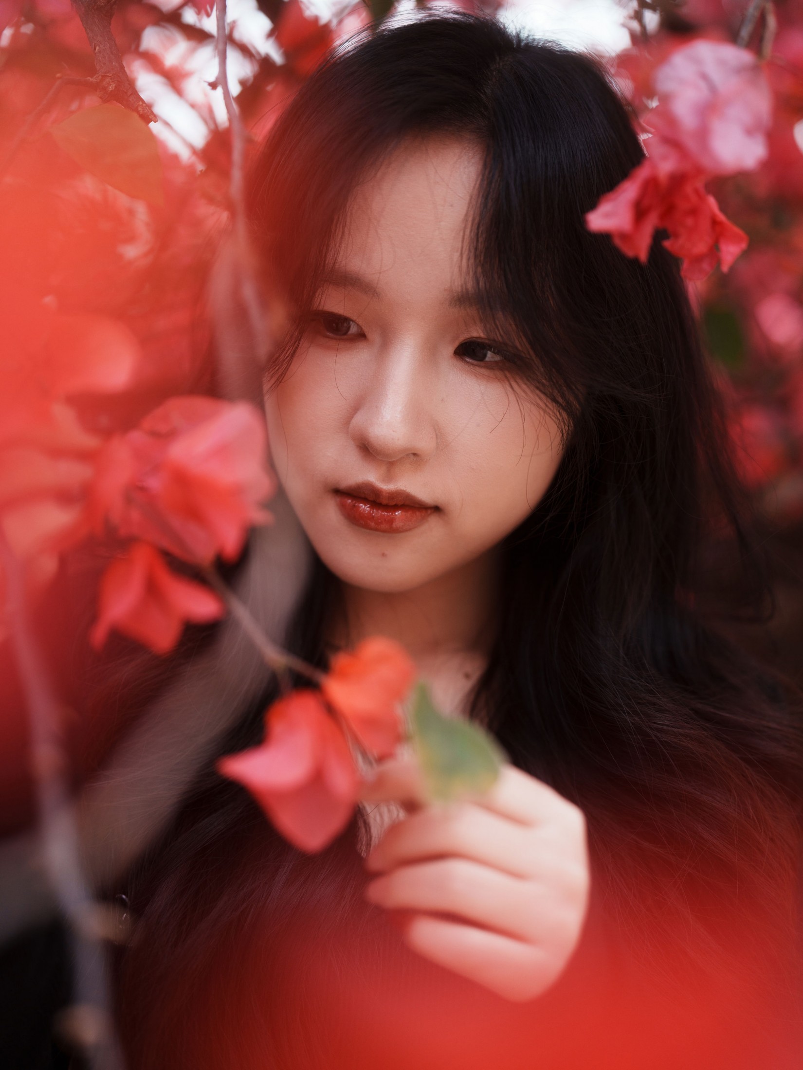 图片[6] - 《三角梅美脸》[53P] - 机器猫次元 - 机器猫次元